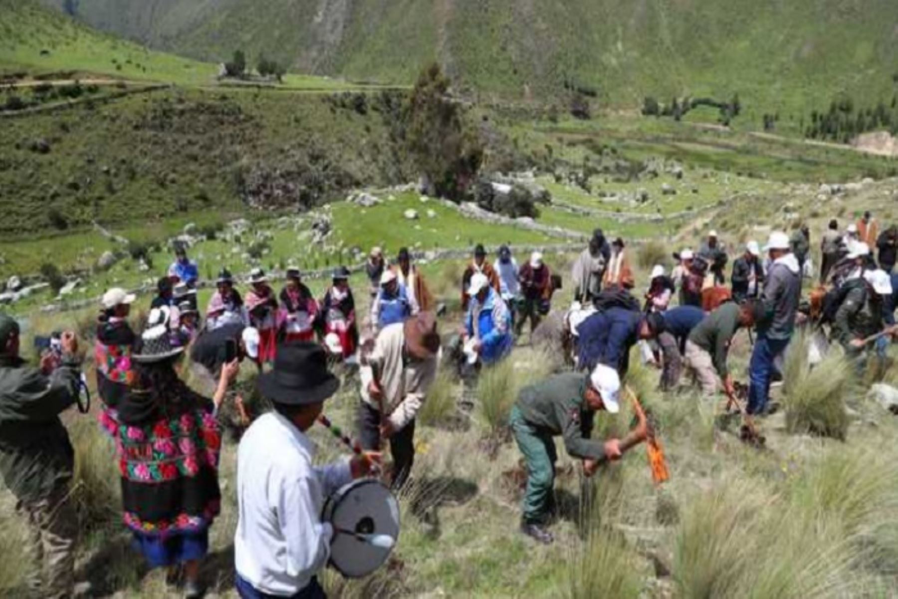 En las próximas semanas, las comunidades de Alis y Miraflores, en Yauyos, continuarán con la plantación de 50,000 queñuales.