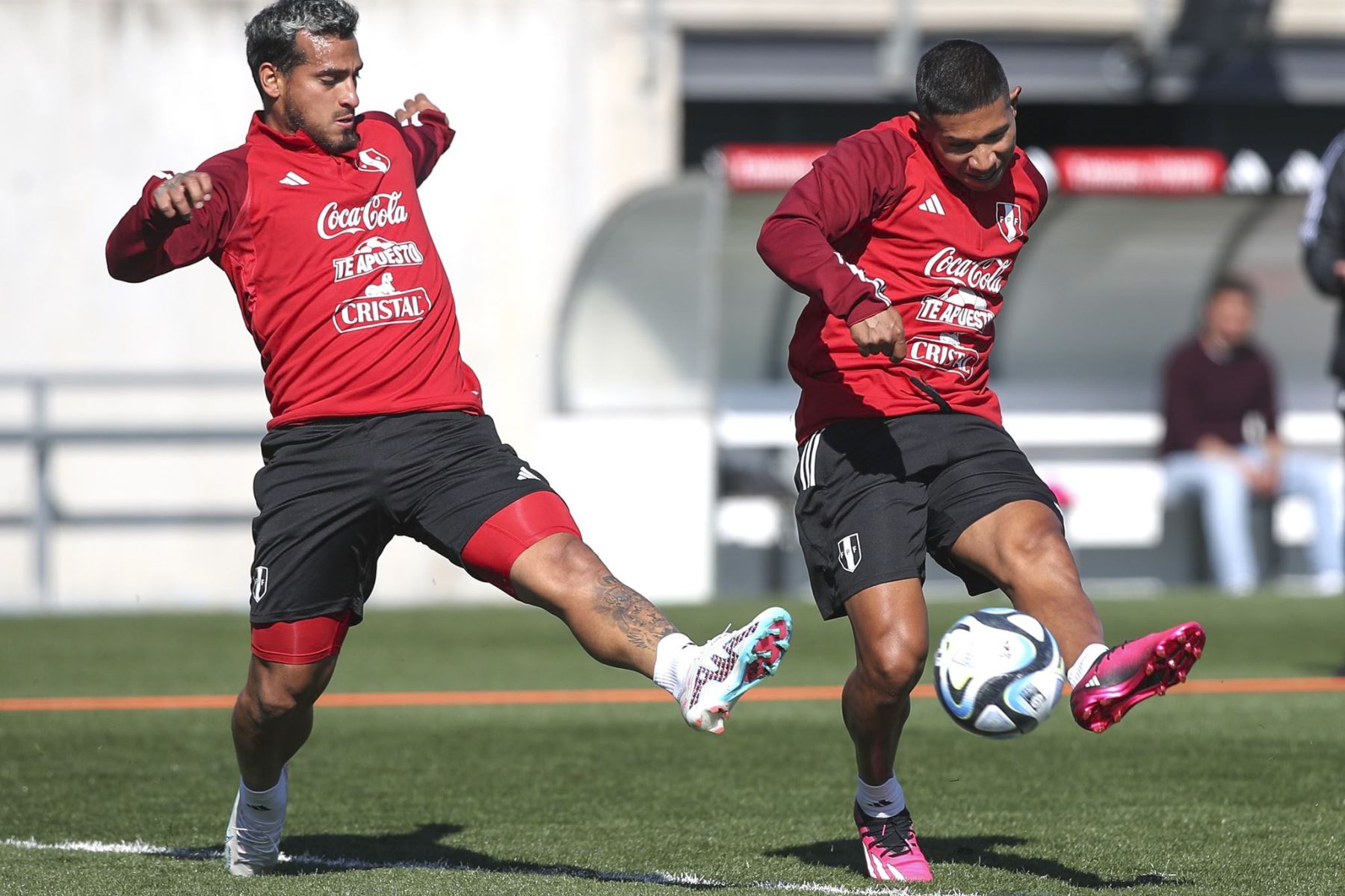 A 3 días del encuentro donde Perú afrontará su primer amistoso del 2023 ante la selección Alemana, los seleccionados de Juan Reynoso continúan sus entrenamientos en Madrid. 
Foto: ANDINA/DFP