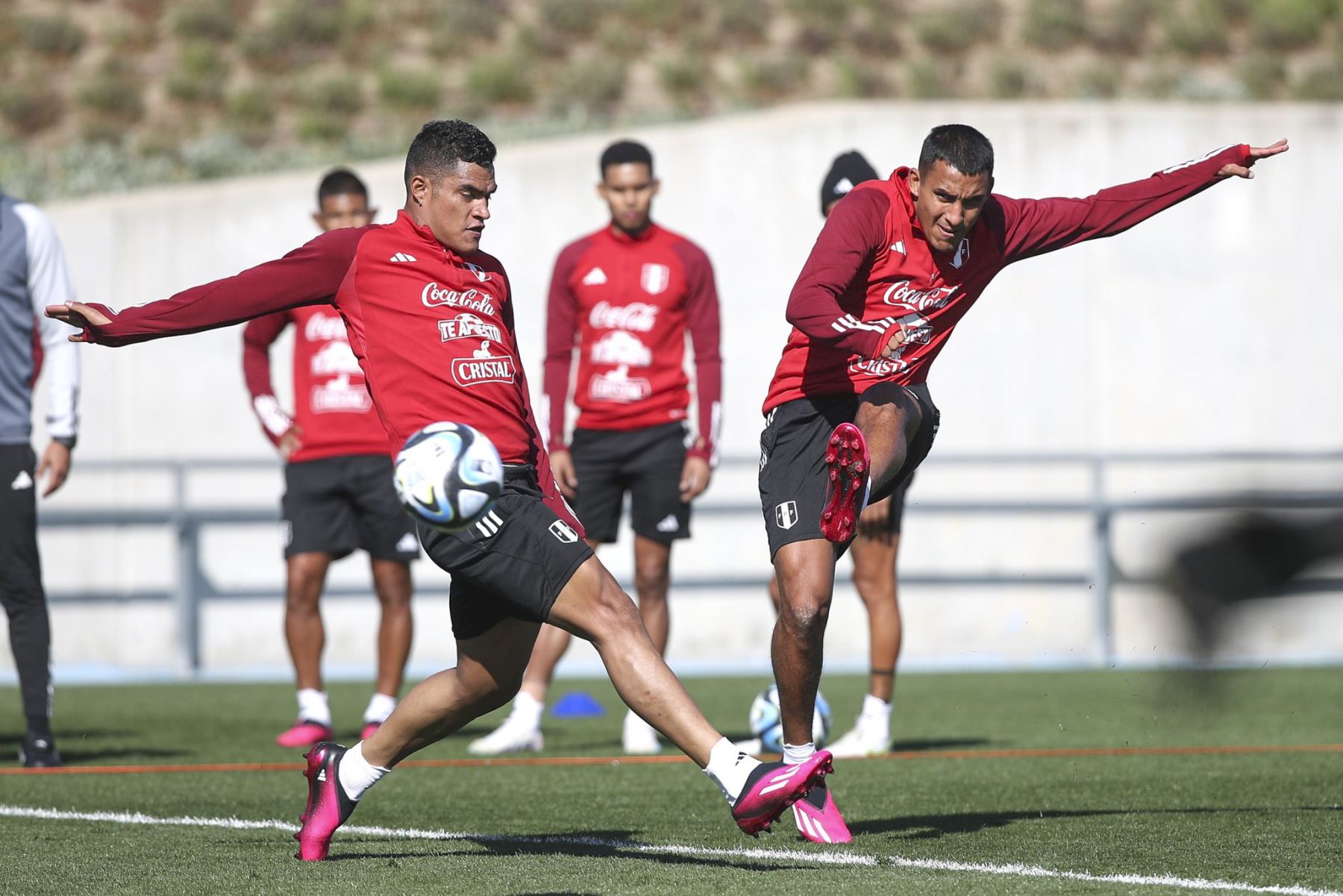 A 3 días del encuentro donde Perú afrontará su primer amistoso del 2023 ante la selección Alemana, los seleccionados de Juan Reynoso continúan sus entrenamientos en Madrid. 
Foto: ANDINA/DFP