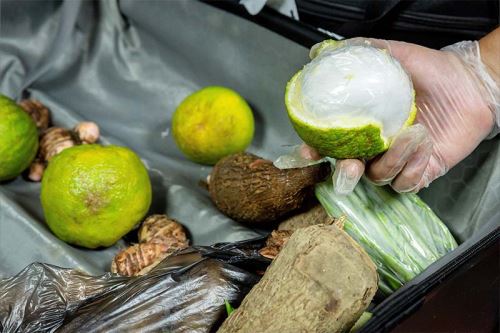 La droga estuvo distribuida en 800 cajas de pulpa de palta congelada, 400 cajas de pulpa de mango congelado y 400 cajas de pulpa de fresa congelada en la modalidad de exportación con destino a España. ANDINA/ Poder Judicial del Callao