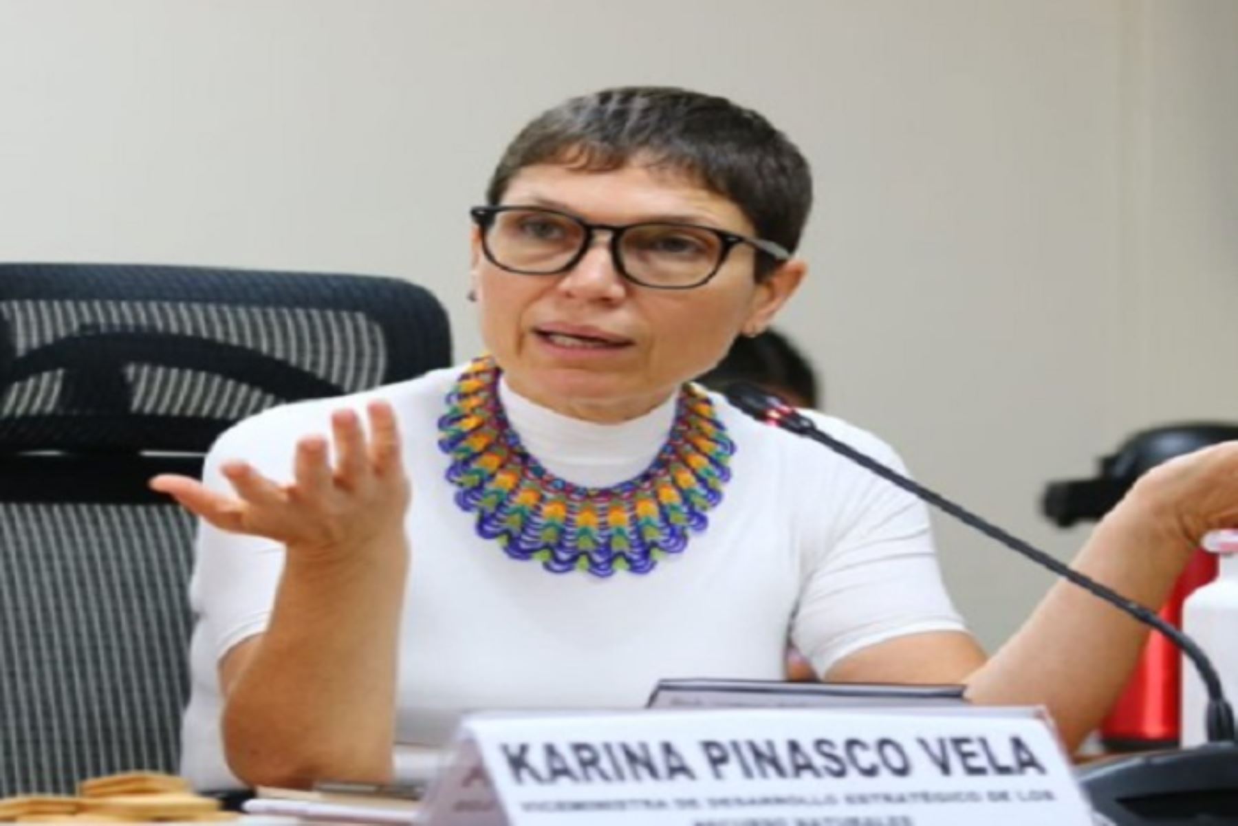 La exviceministra Karina Pinasco Vela habría beneficiado a la ONG Amazónicos por la Amazonía. Foto: Internet/Medios