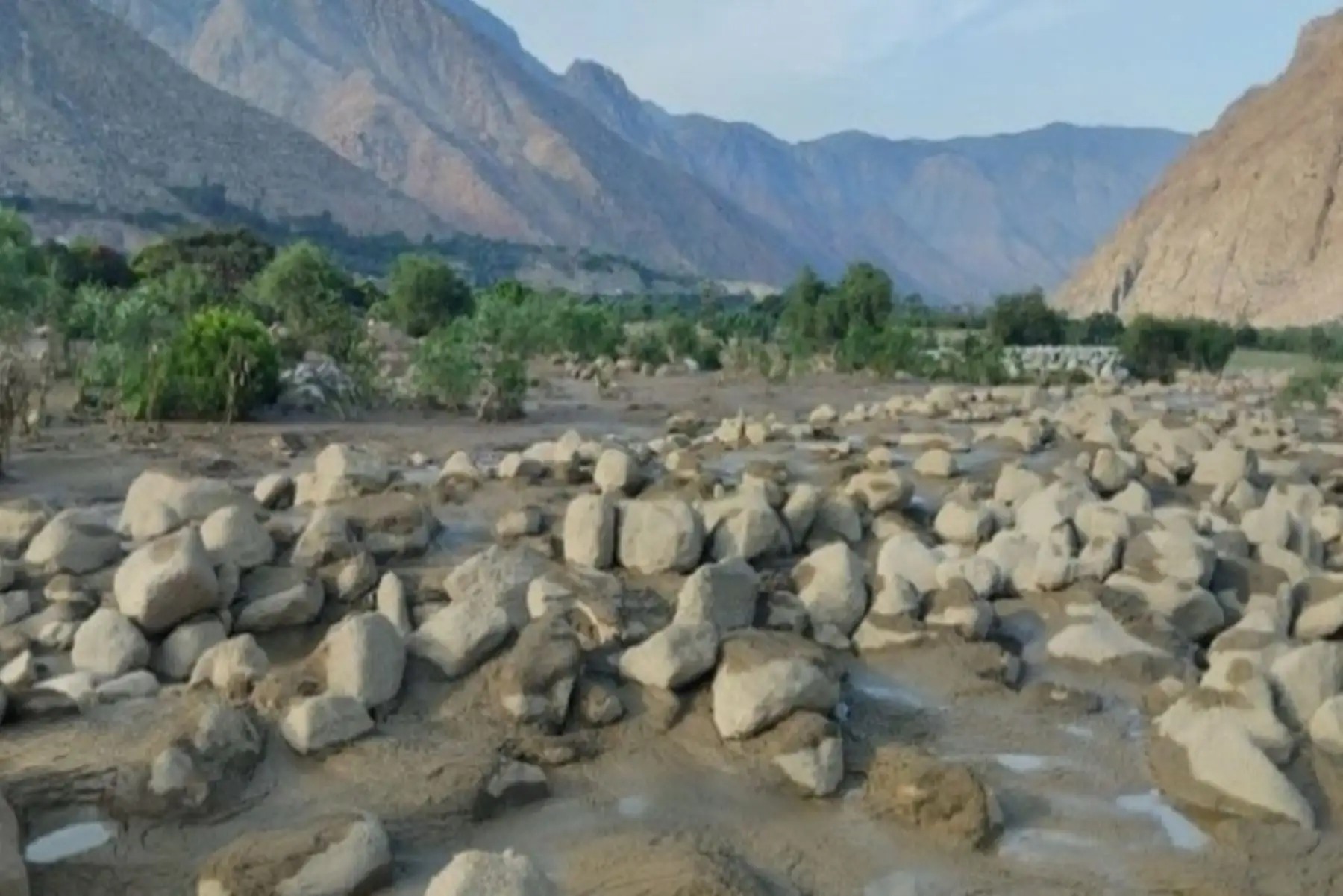 Las inundaciones generarían la proliferación de plagas como trips, mosca blanca, prodiplosis y pulgones.