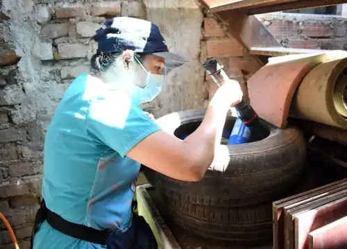 Brigadas de salud de Lambayeque se desplazan casa por casa para evitar el incremento de casos de dengue en la región. ANDINA/Difusión