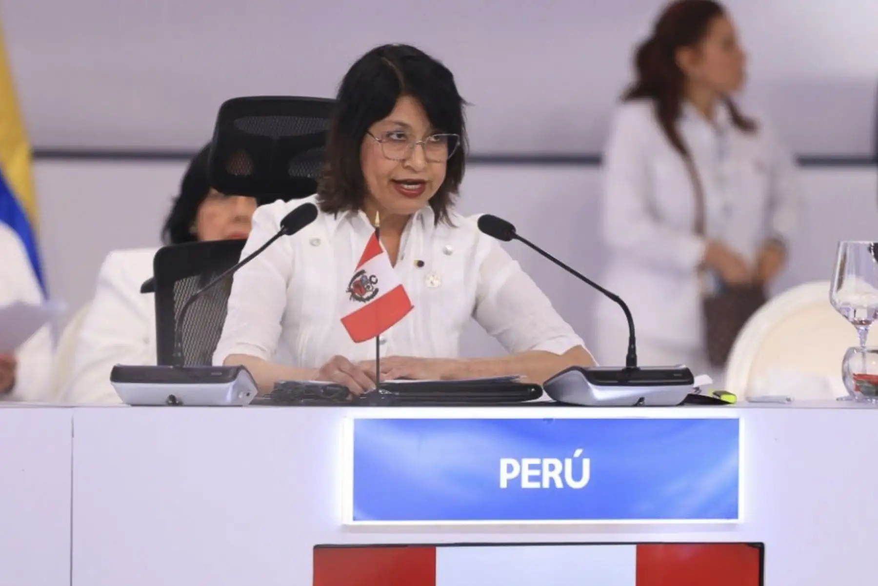 Foto: ANDINA/Andrés Valle.