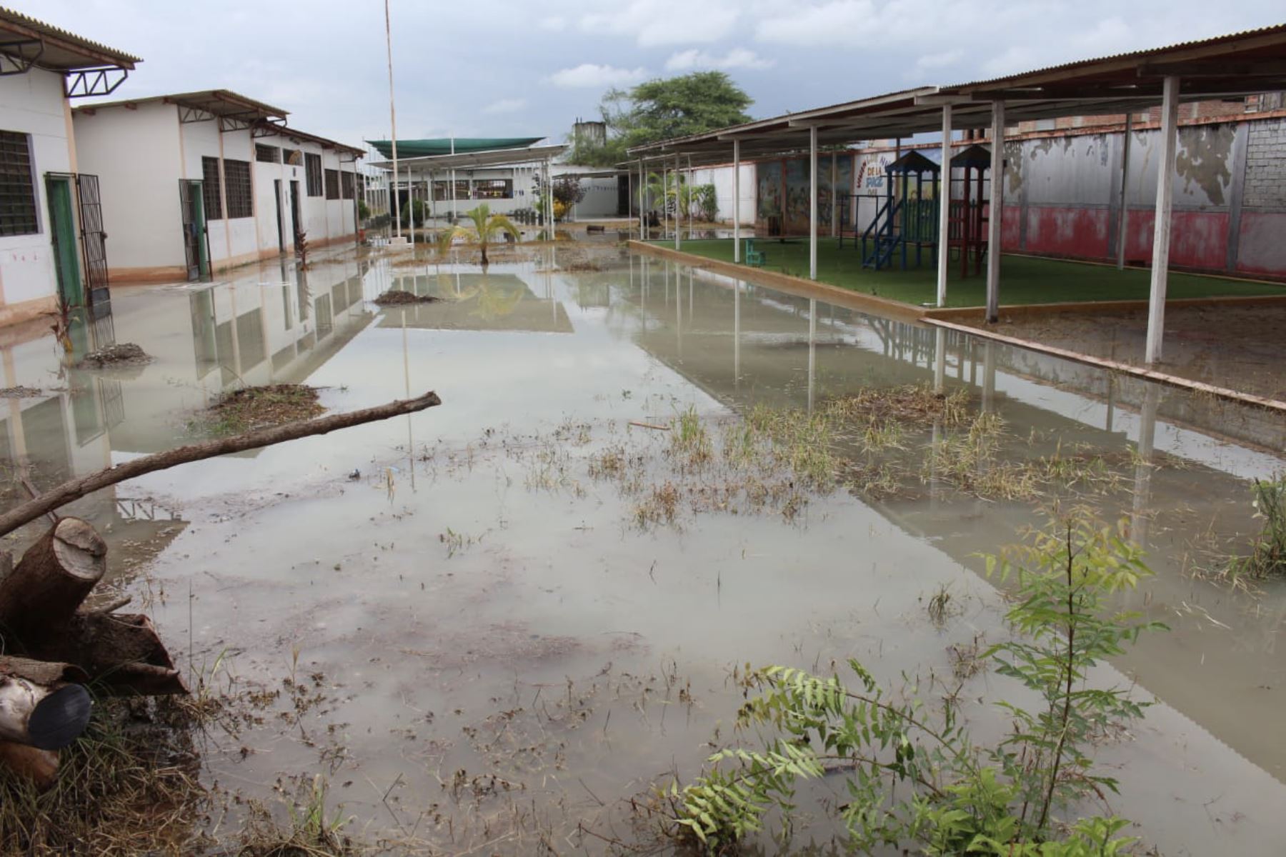 Con ayuda de motobombas se evacuaron las aguas acumuladas en las instituciones educativas de Tumbes. Foto: ANDINA/Difusión