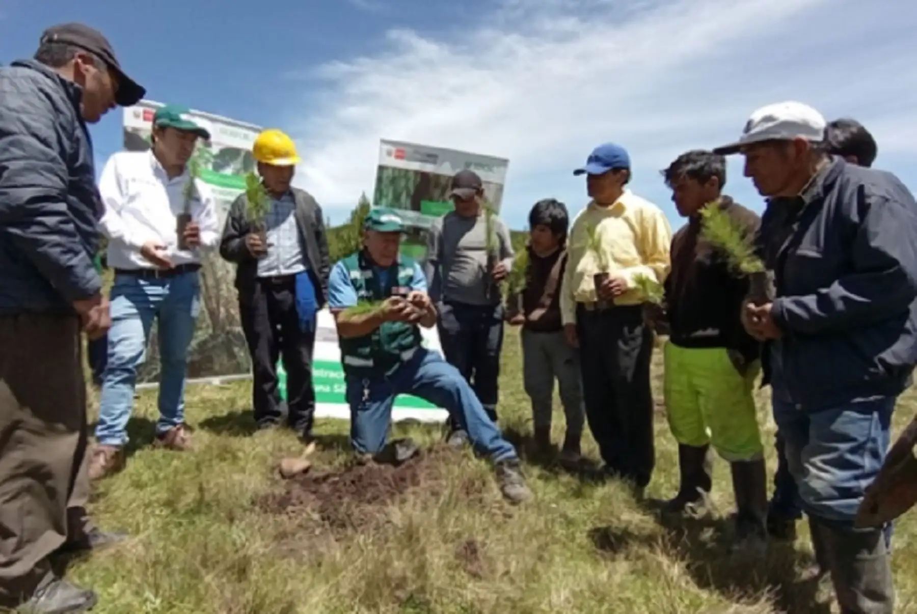 n el marco del Día Internacional de los bosques, el Servicio Nacional Forestal y de Fauna Silvestre (Serfor) instaló en suelo definitivo 10,000 plantones de pino pátula en el centro poblado “Campanario”, en Porcón Alto.