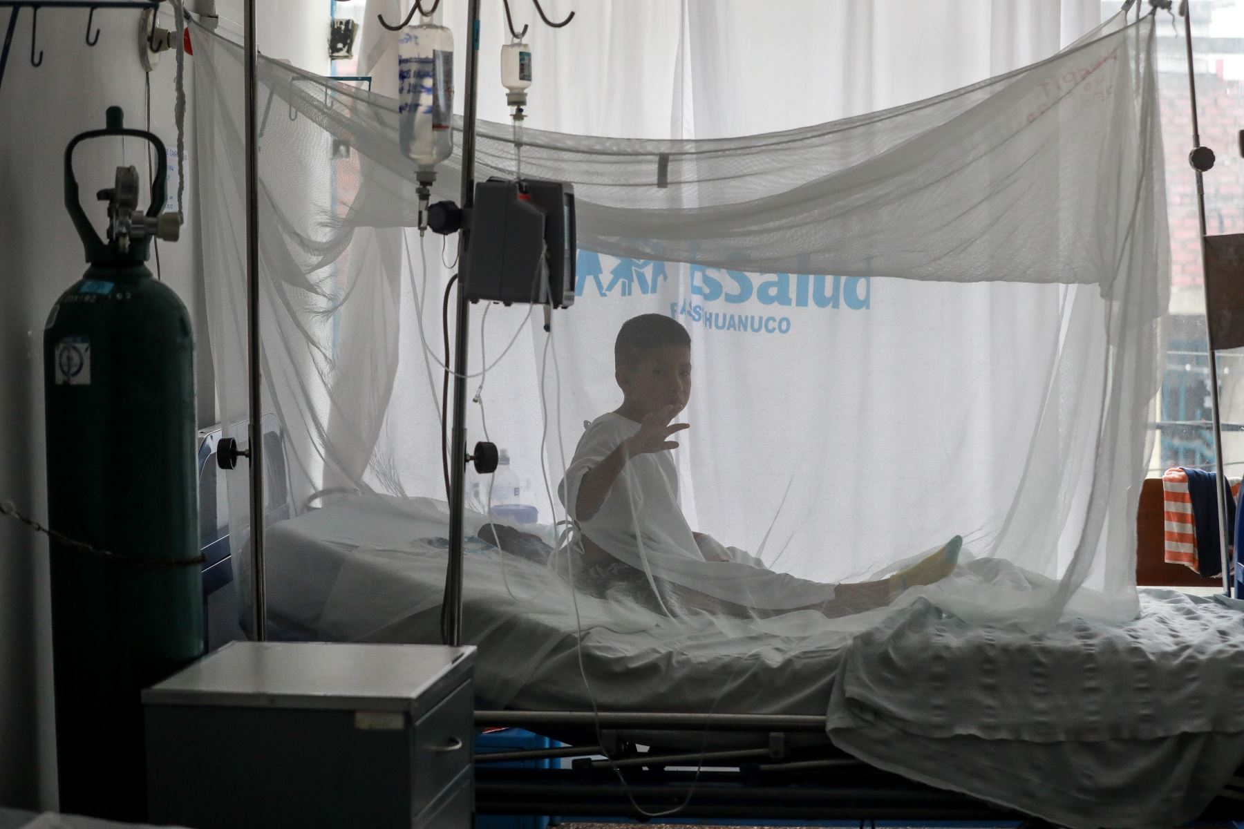 EsSalud Tingo María, Más de 200 pacientes vencieron el dengue con rápida detección y tratamiento oportuno.
Foto: ANDINA/Difusión