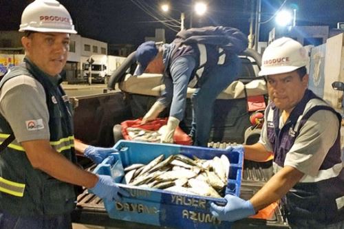 Personal del Ministerio de la Producción (Produce) interviene recursos marinos procedentes de la pesca ilegal. Foto: Cortesía.