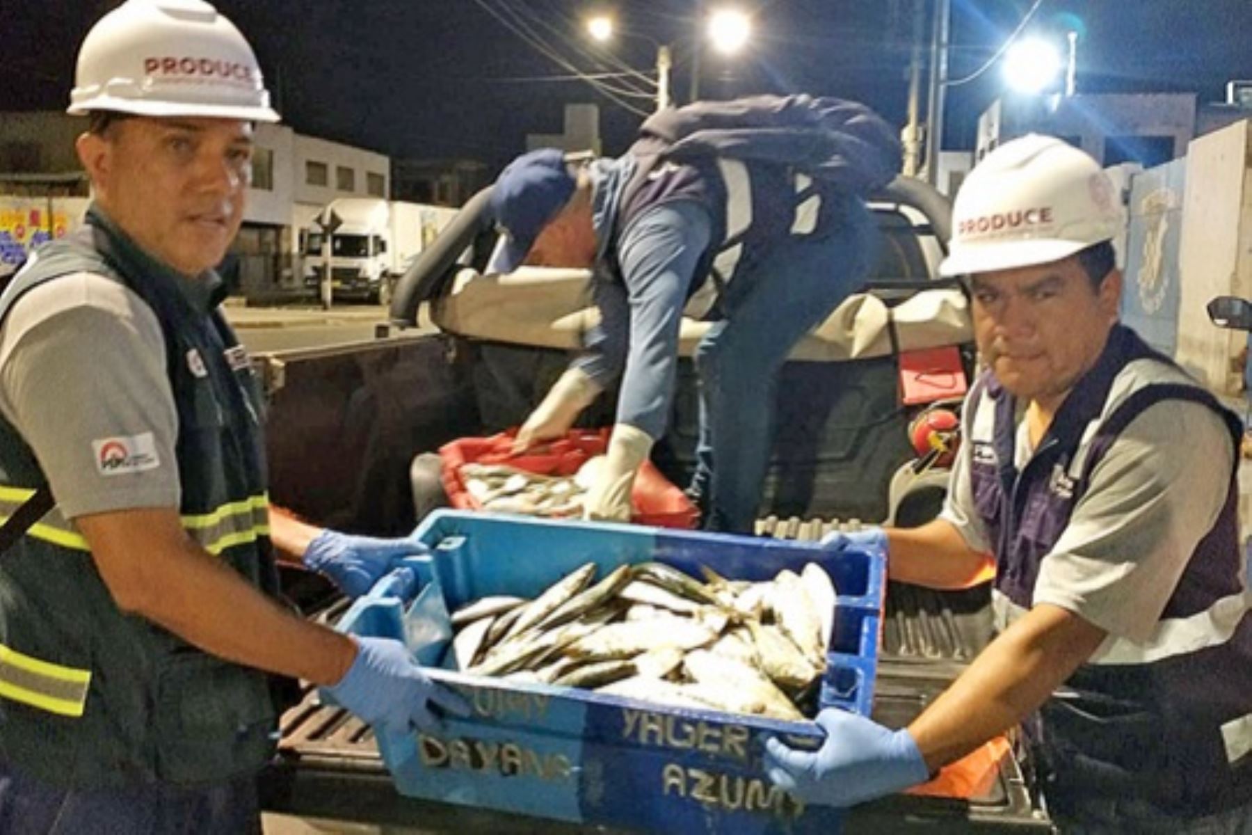 Personal del Ministerio de la Producción (Produce) interviene recursos marinos procedentes de la pesca ilegal. Foto: Cortesía.