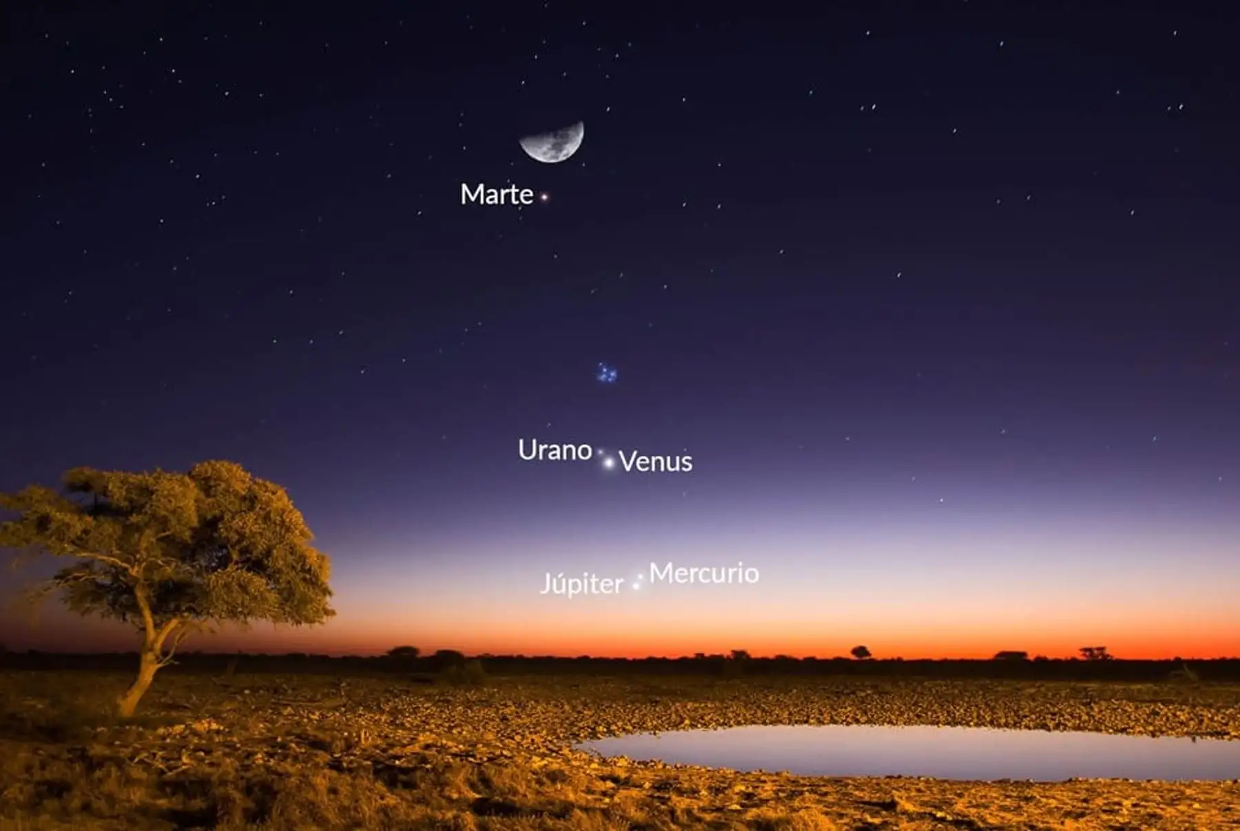 Ilustración de la alineación planetaria en la noche del 28 de marzo, vista desde el hemisferio norte. La imagen está basada en datos de la aplicación Sky Tonight.