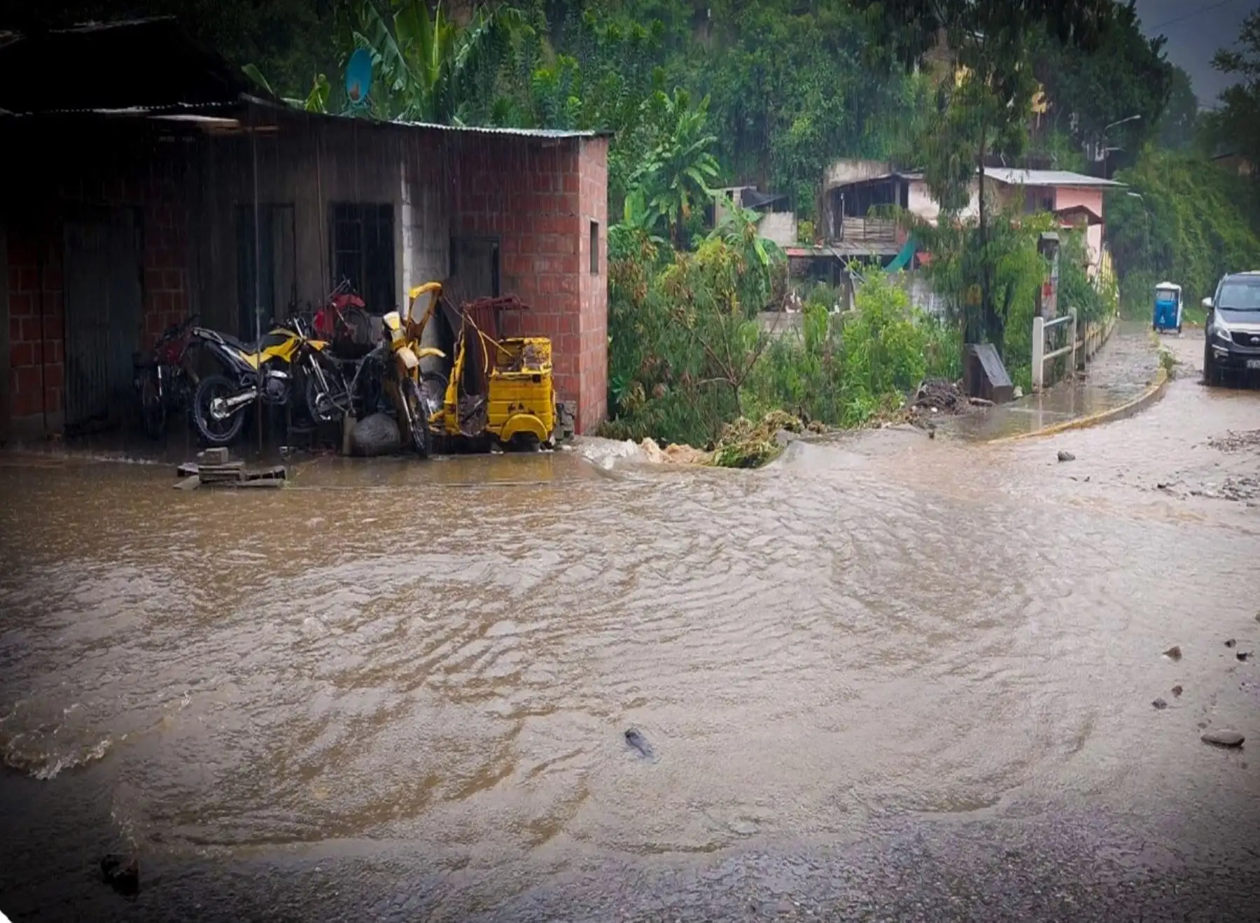 Para hoy el Senamhi prevé acumulados pluviales cercanos a los 40 mm/día en la selva centro y próximos a los 70 mm/día en la selva sur. ANDINA/Difusión