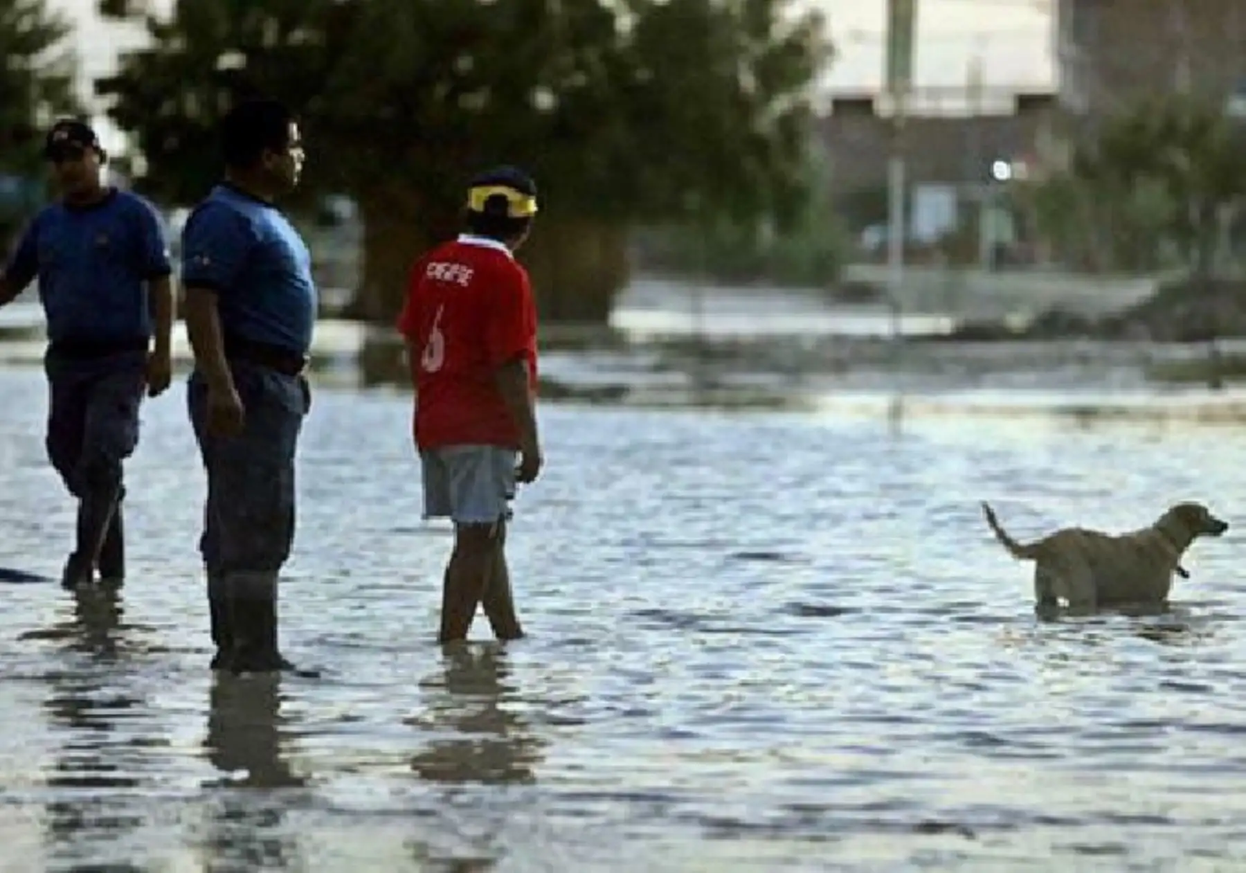 El Senamhi informó que se presentarán episodios de lluvia de fuerte a extrema intensidad en la costa norte, teniendo los acumulados de lluvia más altos en las regiones de Piura y Tumbes, hasta la quincena de abril.ANDINA/Difusión