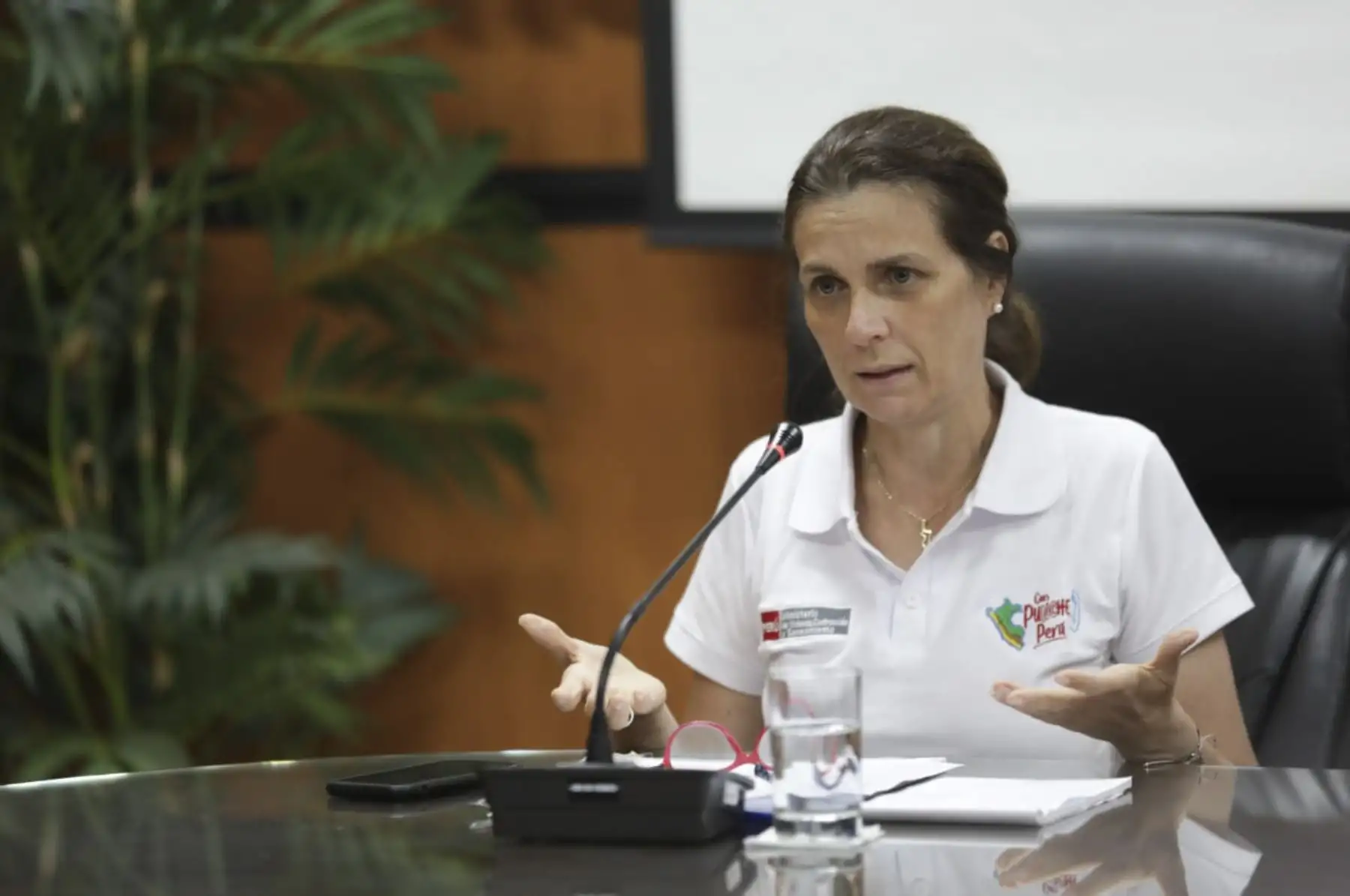 ANDINA/Difusión