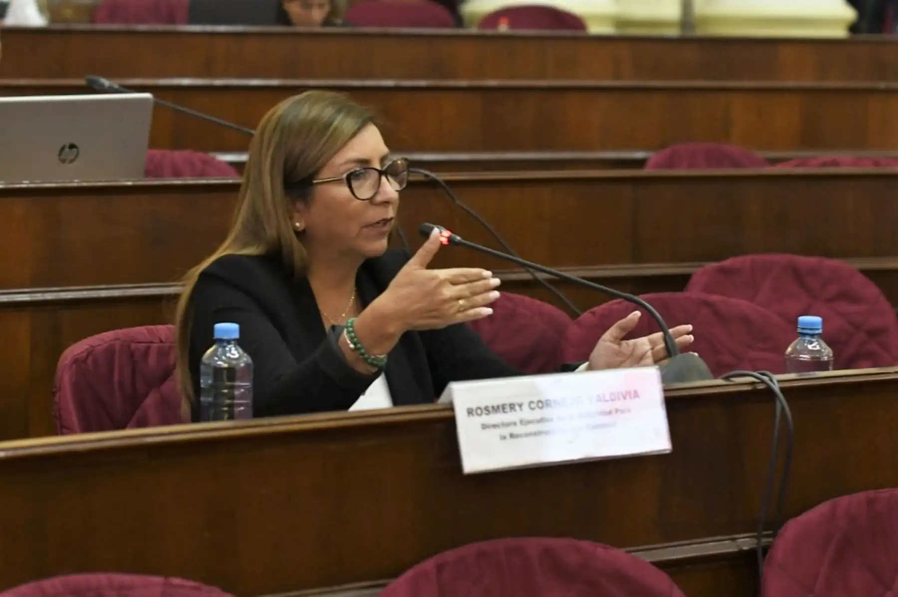 Exposición de la titular de la ARCC, Rosmary Cornejo Valdivia, ante comisión parlamentaria. Foto: ARCC/Difusión