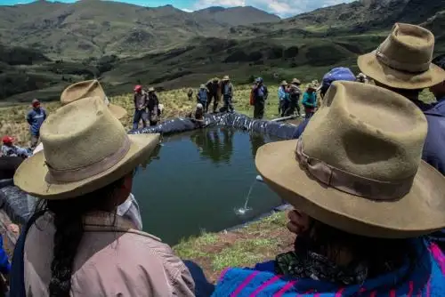 Foto: cortesía.