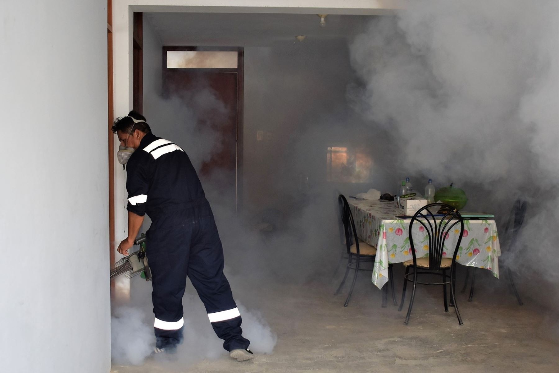 Geresa La Libertad impulsa acciones de fumigación y prevención del dengue casa por casa. Foto: ANDINA/Difusión