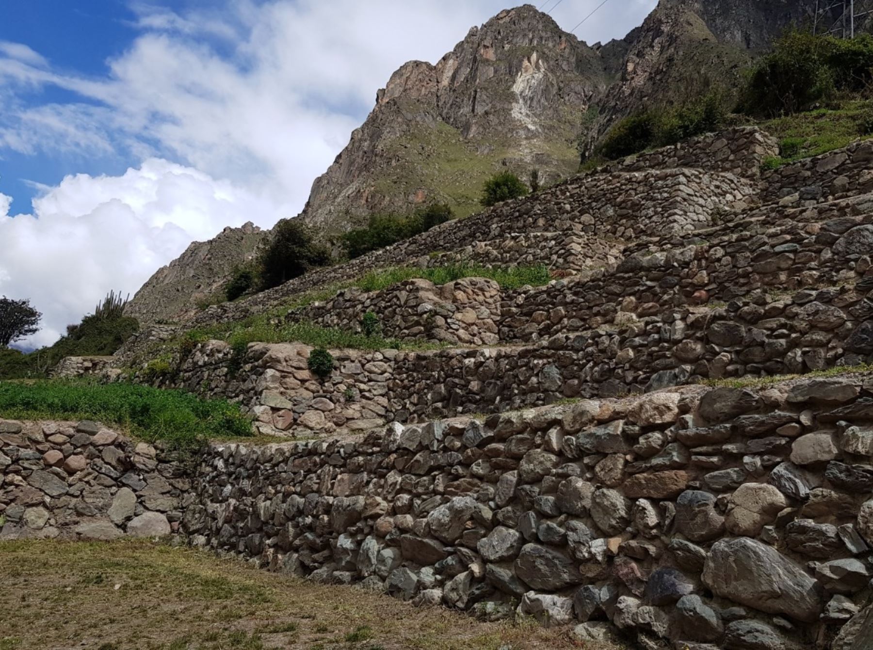 Especialistas de la Dirección Desconcentrada de Cultura de Cusco restauraron 14 andenes de origen inca ubicados dentro del Parque Arqueológico Machu Picchu. ANDINA/Difusión