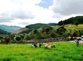 El turismo vivencial y de naturaleza es la oferta que ofrece la Granja Porcón a los turistas que visiten Cajamarca durante este feriado largo por Semana Santa. ANDINA/Difusión