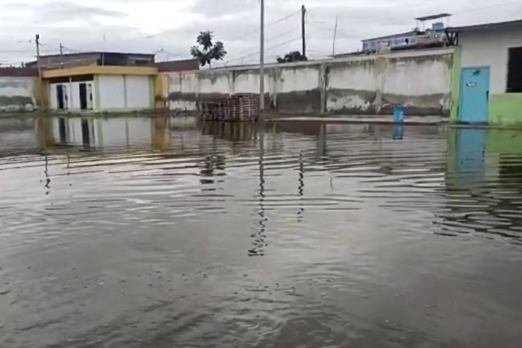La Comisión Multisectorial encargada del Estudio Nacional del Fenómeno de El Niño (Enfen) informó que mantiene estado de "Alerta de El Niño Costero" y estimó que se espera que este fenómeno continúe hasta el verano de 2024, alcanzando una magnitud entre moderada y fuerte en dicha estación.  ANDINA/Difusión