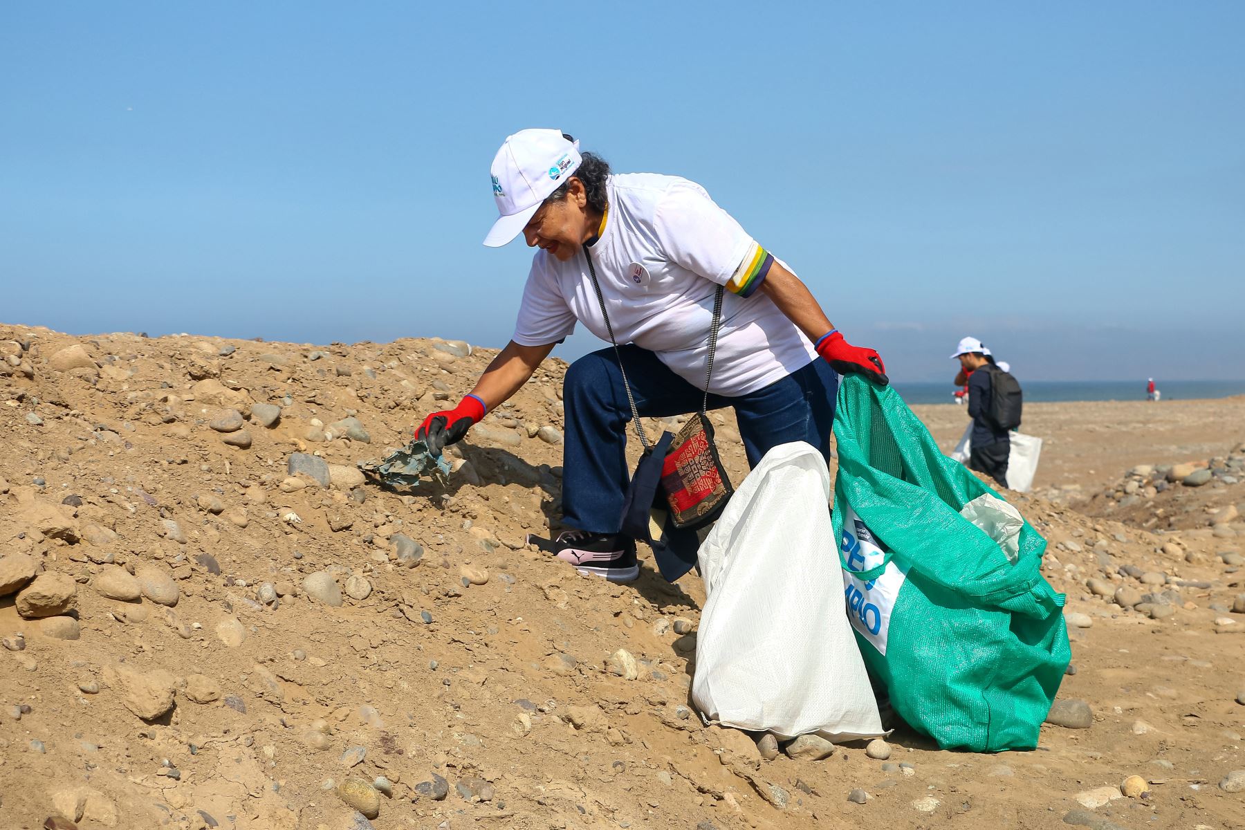 Minam impulsa exitosa jornada de arborización y limpieza de playas en la Costa Verde. Foto: ANDINA/Difusión