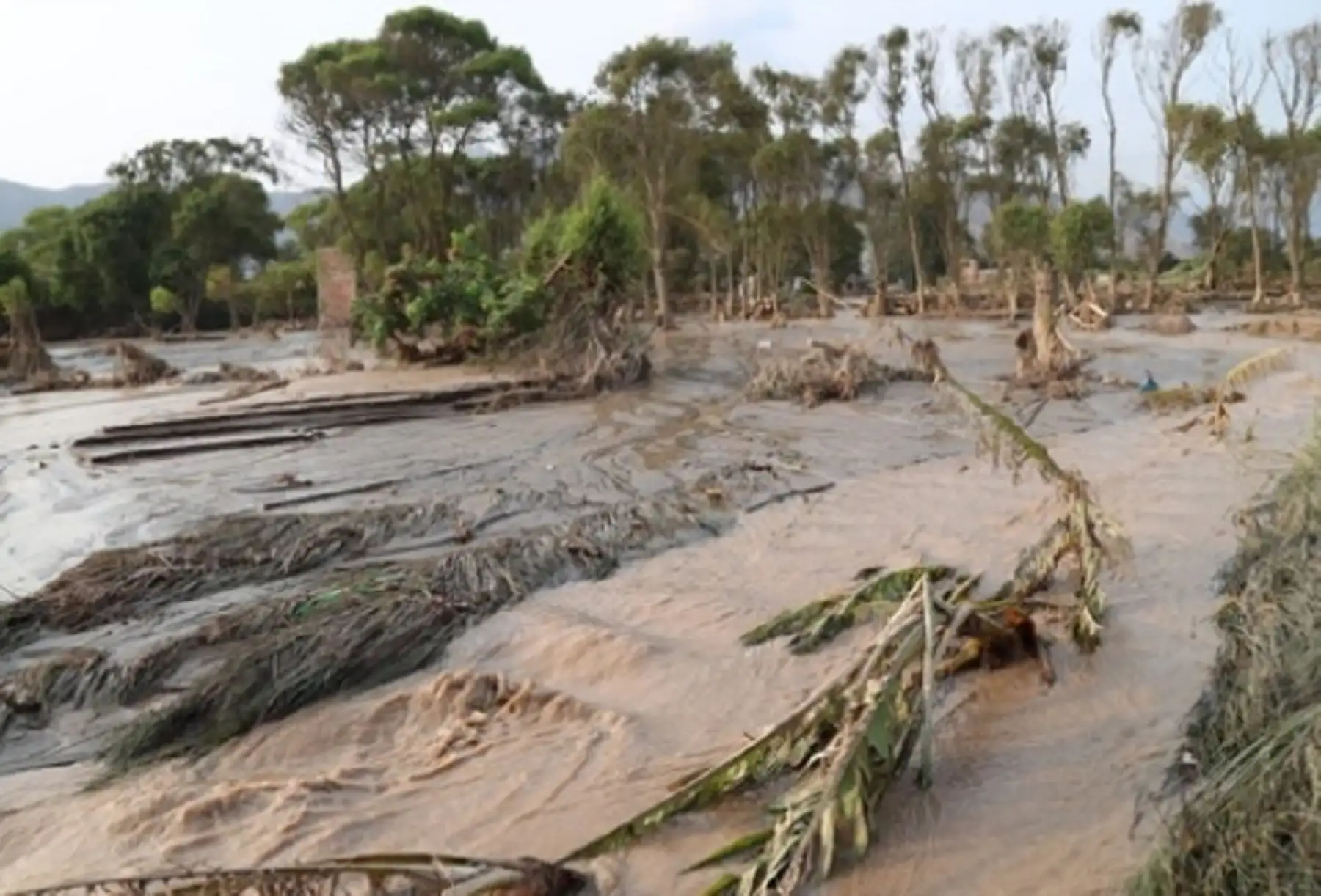 El Ministerio del Ambiente identificó que en nuestro país al menos 1 millón 200,000 hectáreas de ecosistemas degradados en las zonas altas de las cuencas requieren ser recuperadas porque han perdido su capacidad de producir, almacenar y distribuir agua, así como regular inundaciones, estabilizar laderas y proteger a la población y sus medios de vida.