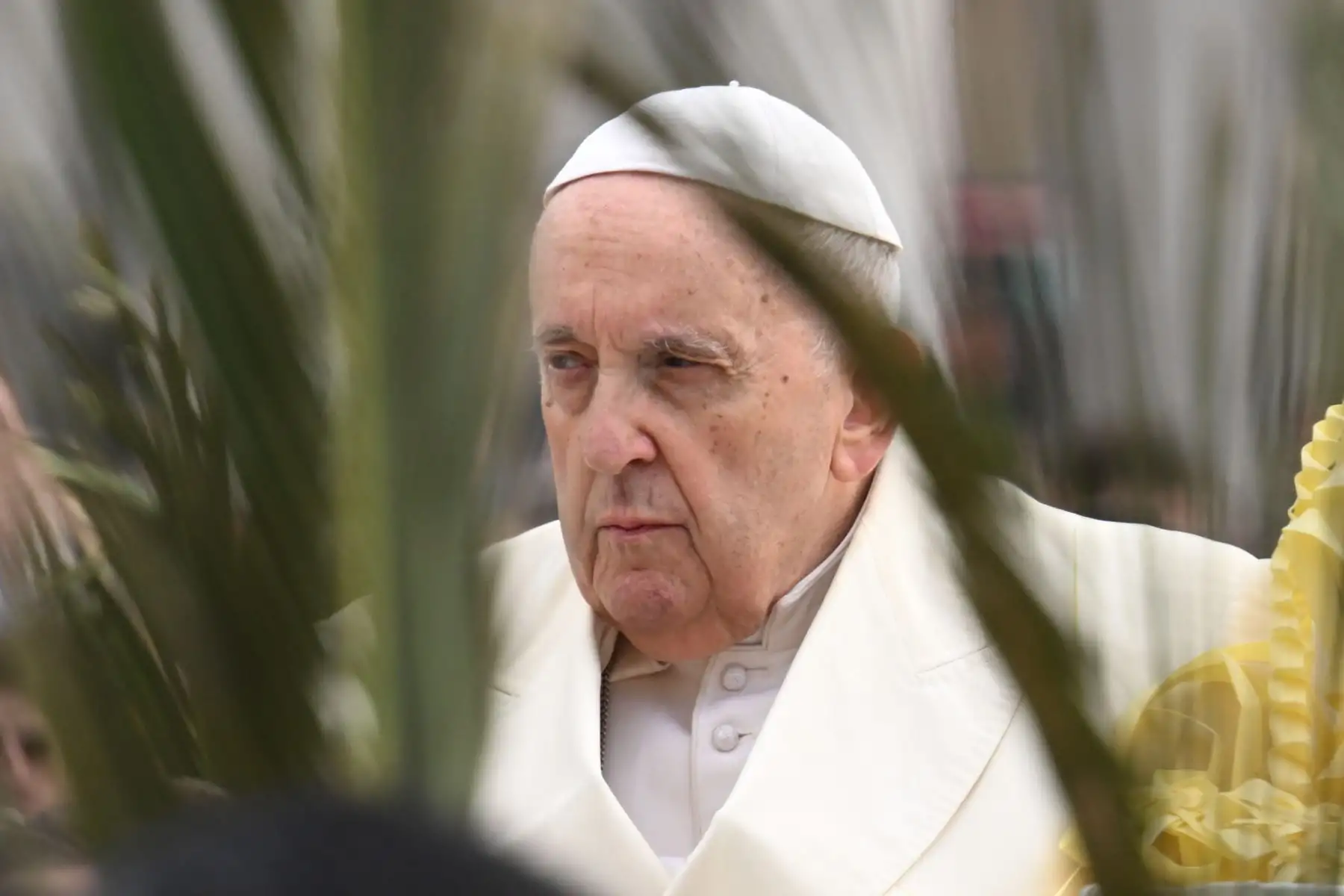 Papa Francisco reaparece este domingo en la plaza de San Pedro del Vaticano para presidir la misa del Domingo de Ramos, un día después de recibir el alta hospitalaria por la bronquitis que lo mantuvo ingresado desde el pasado miércoles. Foto: EFE