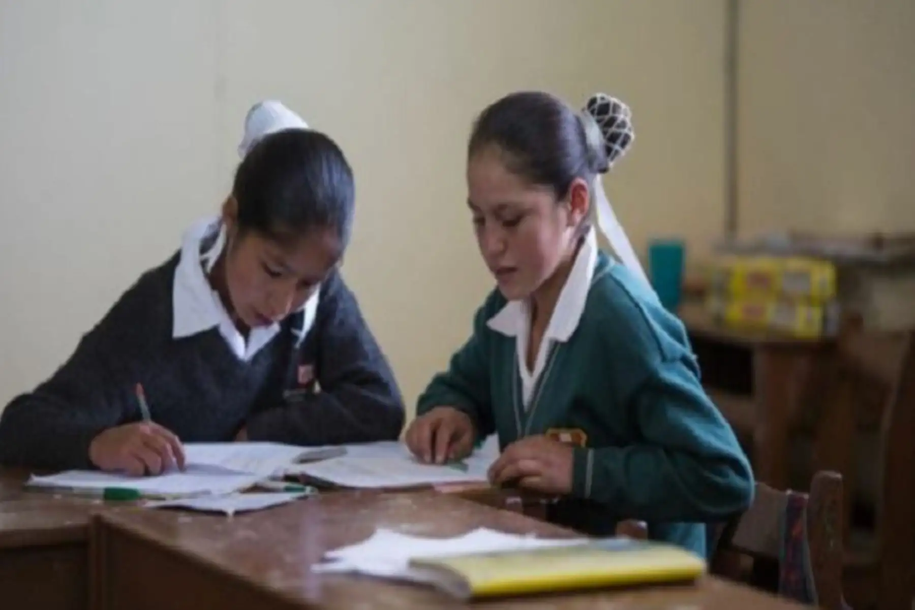 El INEI llevará a cabo la evaluación nacional de los logros de aprendizaje 2023. ANDINA/Difusión