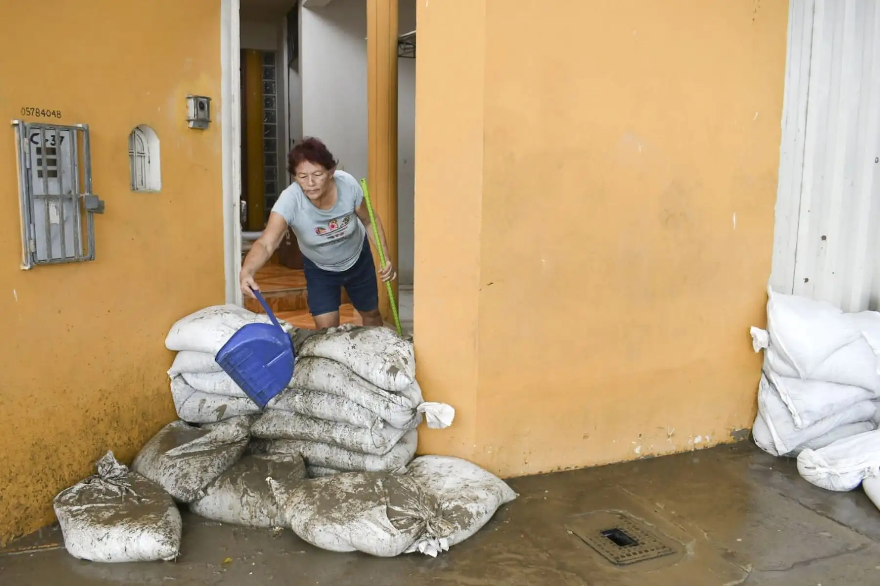 Lluvia de 93 mm en la ciudad de Piura dejó inundados varios sectores y reactivó las cuencas ciegas en emblemáticas urbanizaciones como Ignacio Merino, El Chilcal, Miraflores y en los distritos de Castilla y Veintiséis de Octubre. Fotografía: ANDINA/Mario Moncada
