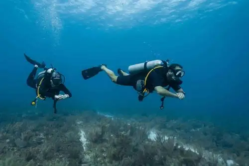 Actividades recreativas de buceo. Foto: Cortesía.
