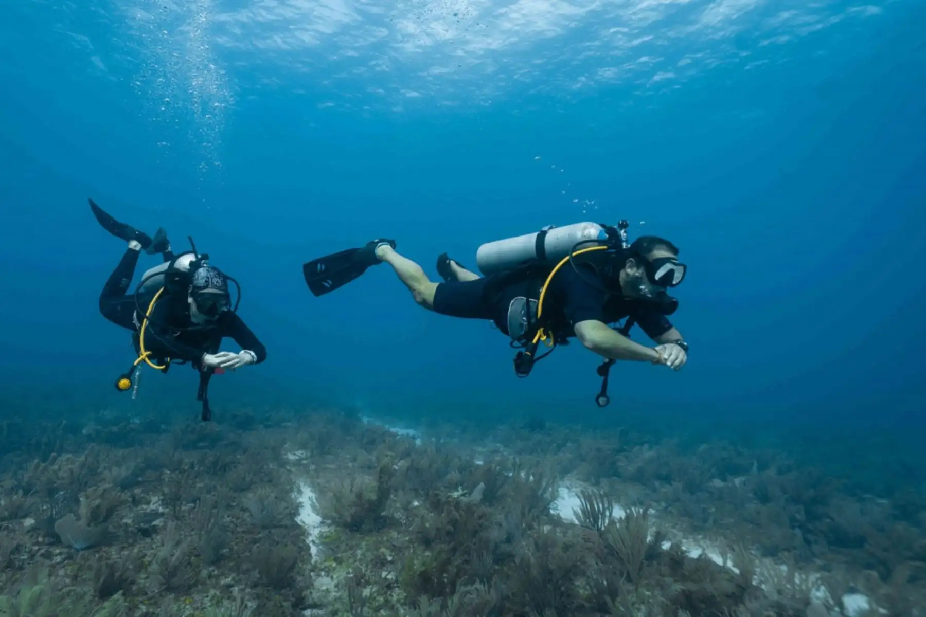 Actividades recreativas de buceo. Foto: Cortesía.