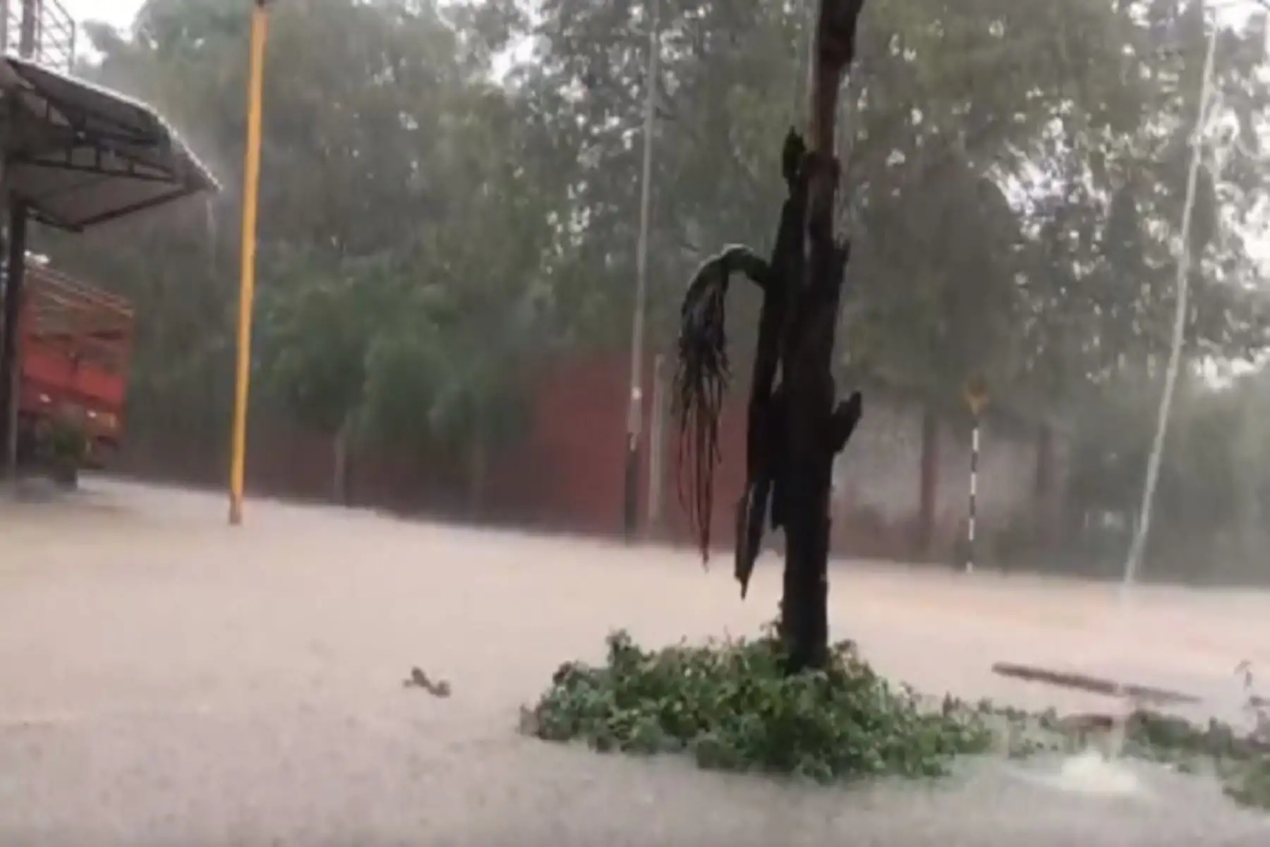 Se calculan registros por encima de los 75 mm/día en Tumbes y la costa de Piura. En Lambayeque, 20 mm/día y en La Libertad, 15 mm/día.
