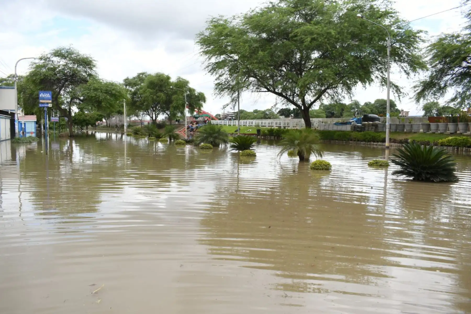Fenómeno El Niño: Tumbes y Piura esperan lluvias de hasta 40 litros por m² hoy lunes 26