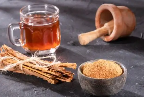 La uña de gato es una planta con extraordinarias propiedades antiinflamatorias y desintoxicantes. También es usada como cicatrizante y para tratar casos de dolencias del aparato digestivo como colitis, gastritis, úlceras y hemorroides.