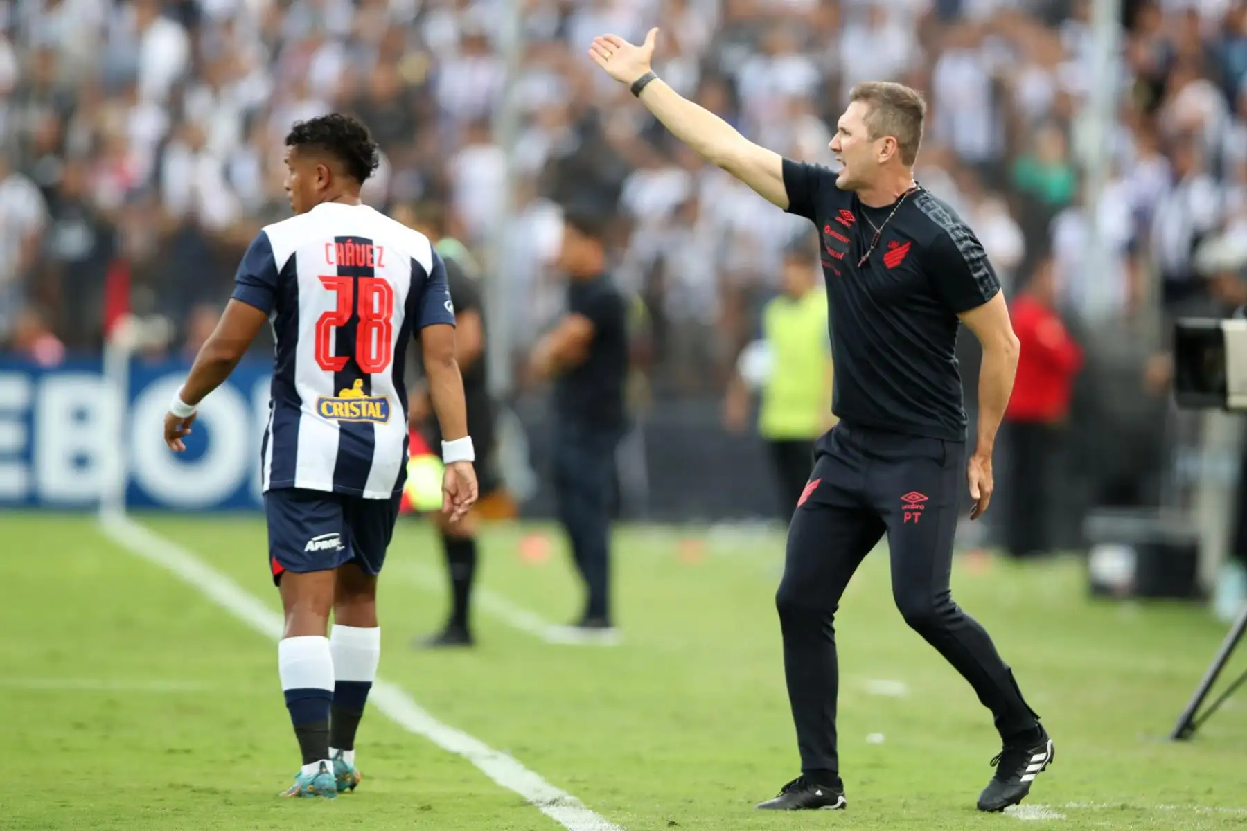 El entrenador de Paranaense Paulo Turra (d) dirige hoy, en un partido de la fase de grupos de la Copa Libertadores entre Alianza Lima y Athletico Paranaense en el estadio Alejandro Villanueva en Lima (Perú).
Foto: EFE