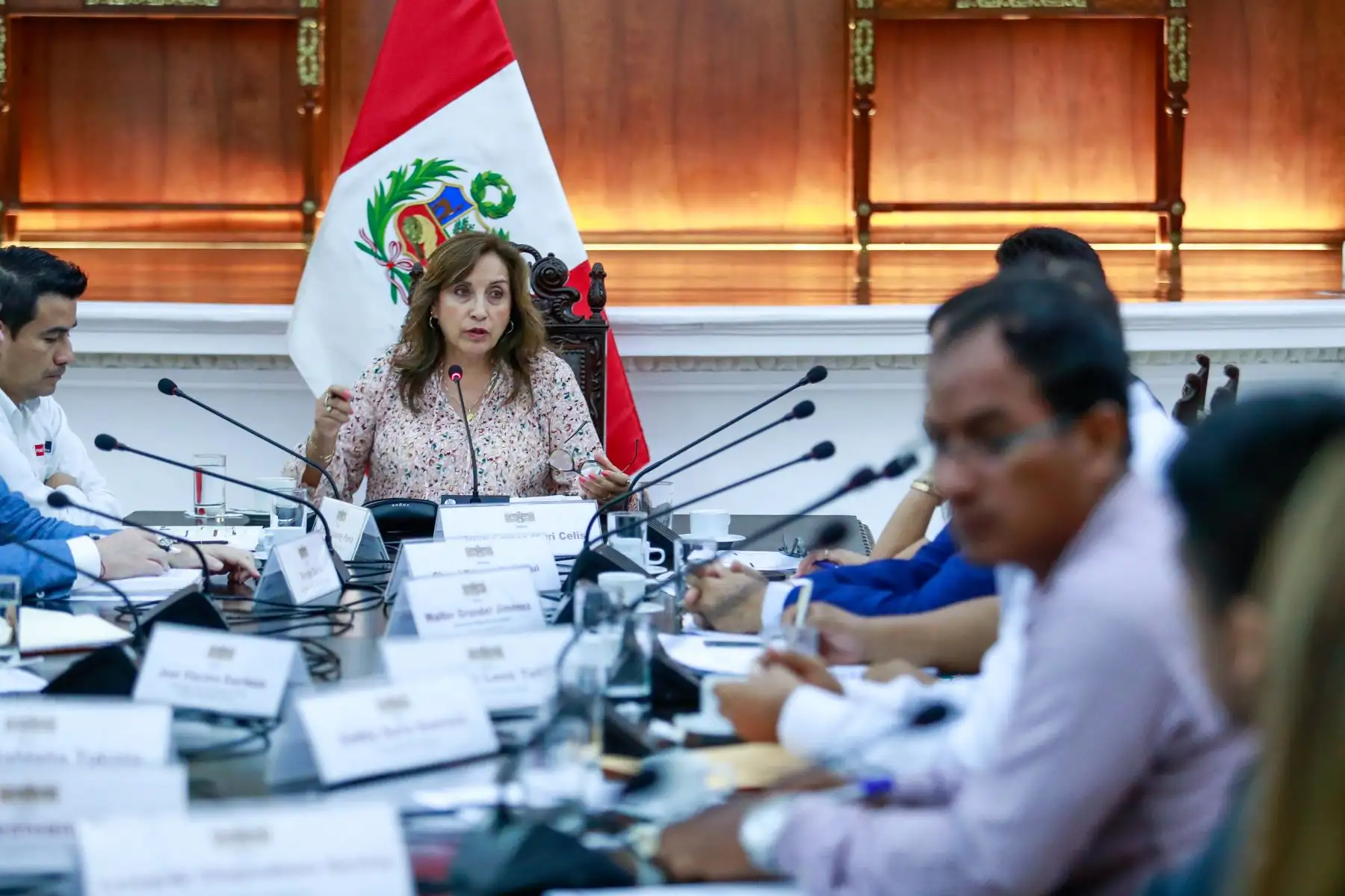 Presidenta de la república, Dina Boluarte, sostuvo reunión de trabajo con los congresistas Juan Carlos Celis y Cheryl Trigozo, además de autoridades de la región Loreto y San Martín.

Foto: ANDINA/Difusión