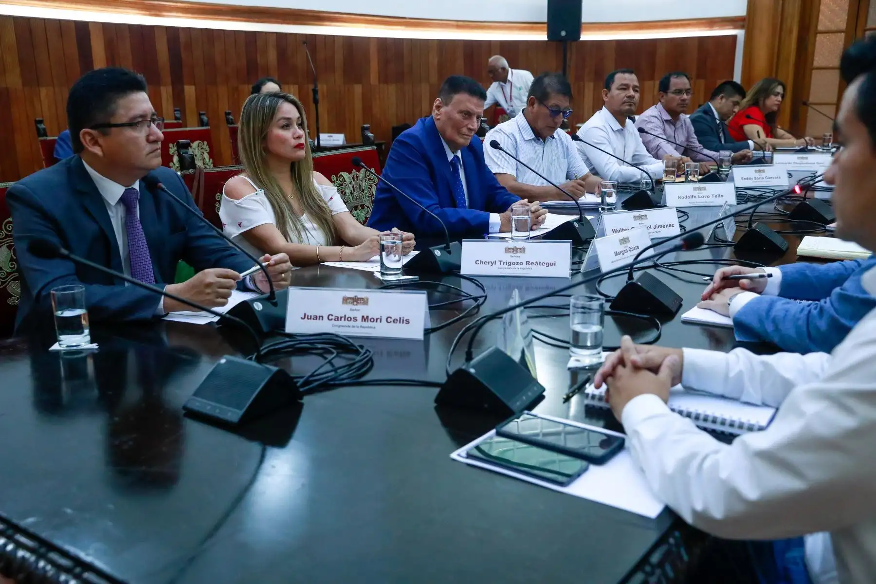 Presidenta de la república, Dina Boluarte, sostuvo reunión de trabajo con los congresistas Juan Carlos Celis y Cheryl Trigozo, además de autoridades de la región Loreto y San Martín.

Foto: ANDINA/Difusión
