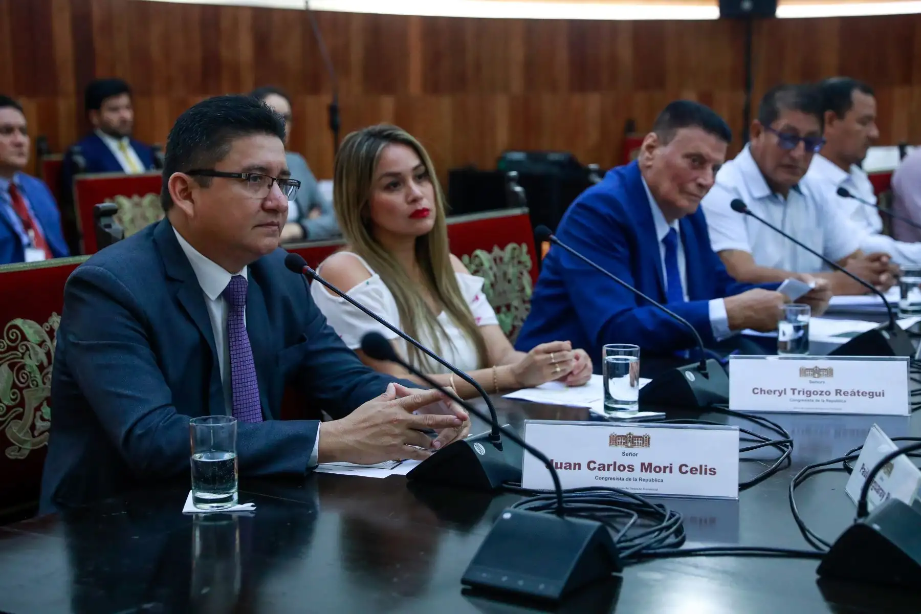 Presidenta de la república, Dina Boluarte, sostuvo reunión de trabajo con los congresistas Juan Carlos Celis y Cheryl Trigozo, además de autoridades de la región Loreto y San Martín.

Foto: ANDINA/Difusión