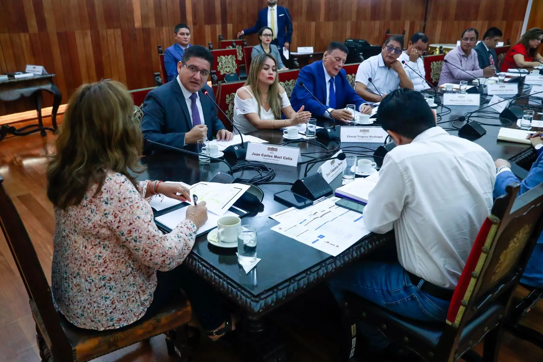 Presidenta de la república, Dina Boluarte, sostuvo reunión de trabajo con los congresistas Juan Carlos Celis y Cheryl Trigozo, además de autoridades de la región Loreto y San Martín.

Foto: ANDINA/Difusión