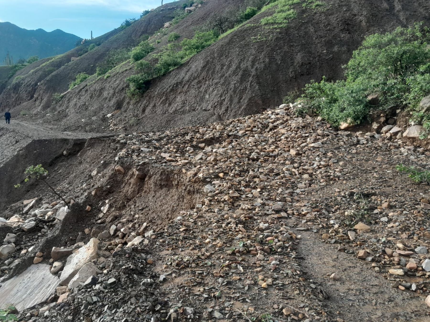Se prevén acumulados pluviales por encima de los 30 mm/día en Tumbes y la costa de la región norteña de Piura. Foto: ANDINA/Difusión