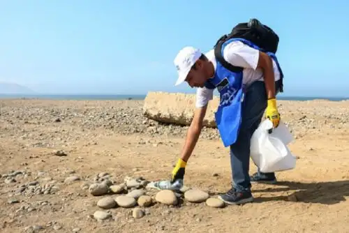 El Minam creo la distinción ambiental “Protectores de la Madre Tierra” o “Pachamama waqaychaqkuna”, en quechua o “Amakobentajeitirori Kipatsi”, en aymara.