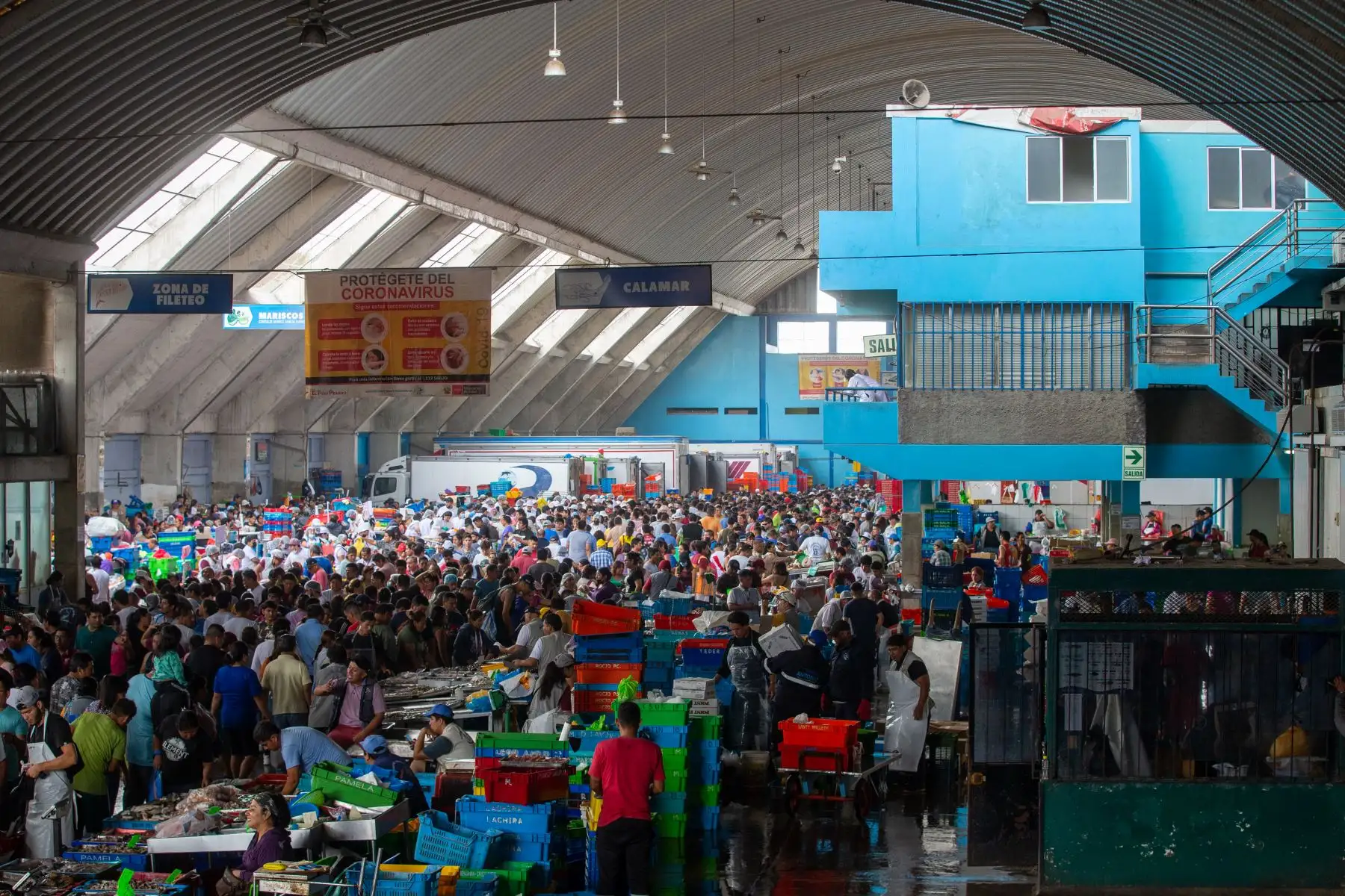 El terminal pesquero de Villa María del Triunfo registra una de las fechas con mayor afluencia del año, debido al consumo masivo de pescados y mariscos por Semana Santa. Cientos de personas llegaron hasta sus instalaciones para adquirir productos marinos frescos y a precios económicos.
Foto: ANDINA/Tatiana Gamarra