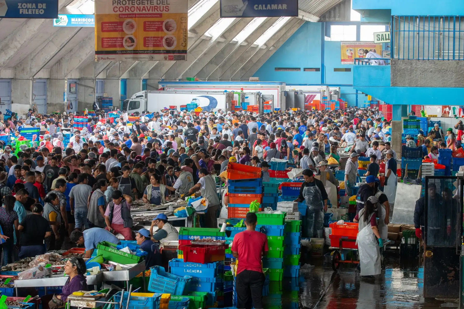 El terminal pesquero de Villa María del Triunfo registra una de las fechas con mayor afluencia del año, debido al consumo masivo de pescados y mariscos por Semana Santa. Cientos de personas llegaron hasta sus instalaciones para adquirir productos marinos frescos y a precios económicos.
Foto: ANDINA/Tatiana Gamarra