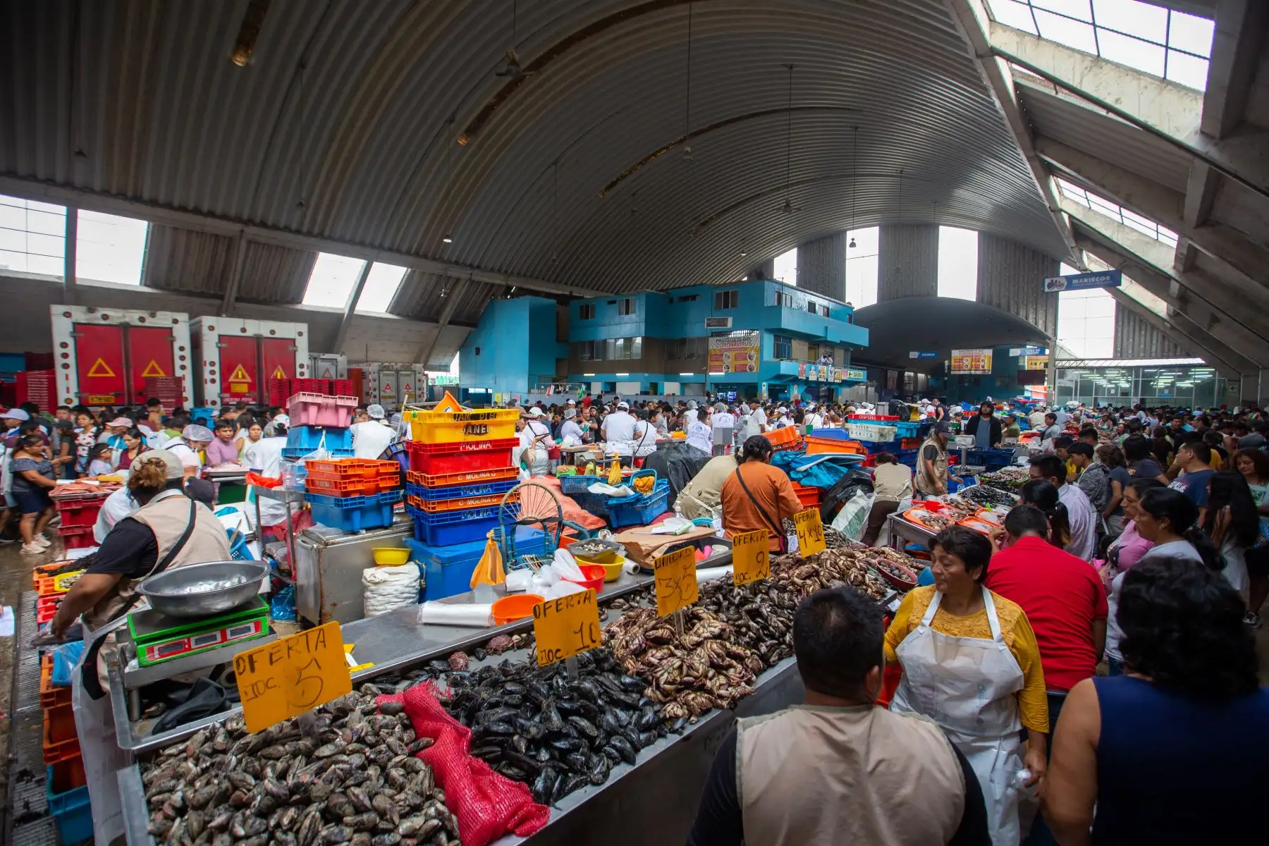 El terminal pesquero de Villa María del Triunfo registra una de las fechas con mayor afluencia del año, debido al consumo masivo de pescados y mariscos por Semana Santa. Cientos de personas llegaron hasta sus instalaciones para adquirir productos marinos frescos y a precios económicos.
Foto: ANDINA/Tatiana Gamarra