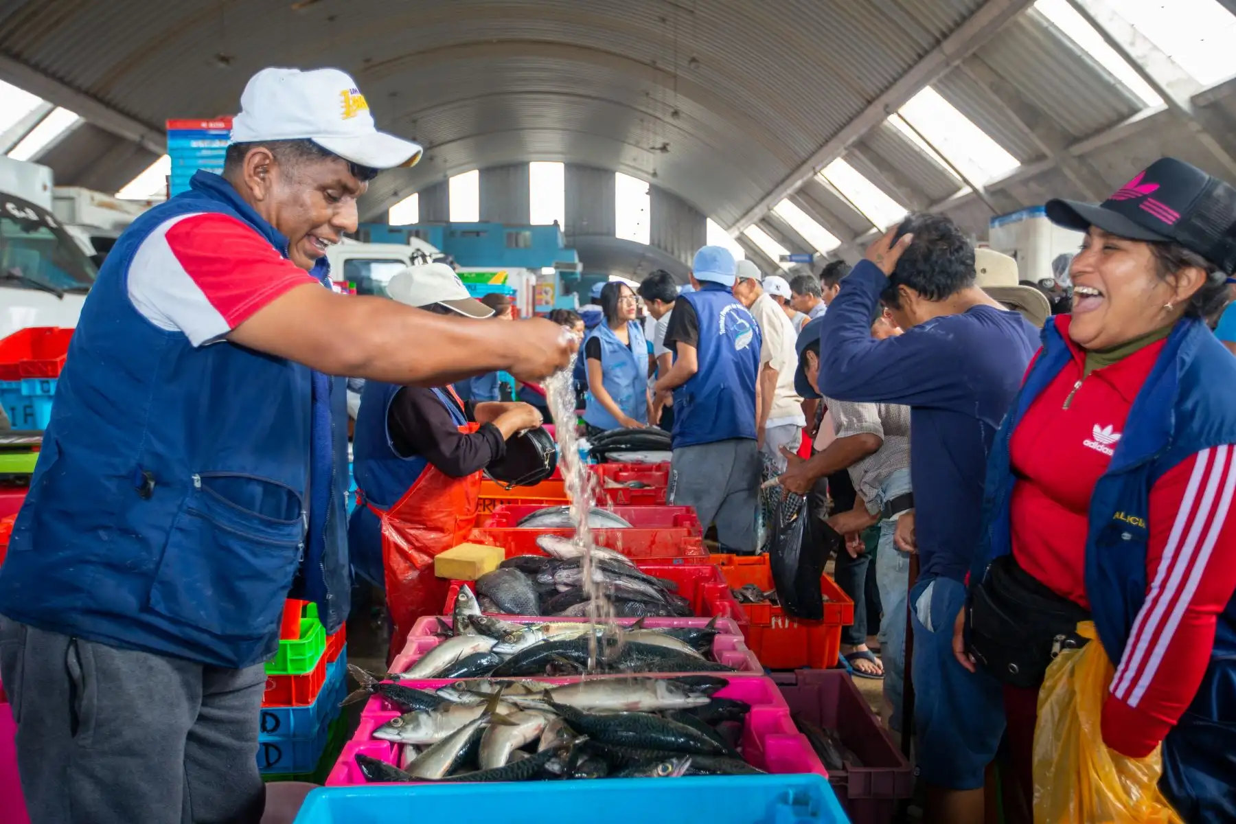 El terminal pesquero de Villa María del Triunfo registra una de las fechas con mayor afluencia del año, debido al consumo masivo de pescados y mariscos por Semana Santa. Cientos de personas llegaron hasta sus instalaciones para adquirir productos marinos frescos y a precios económicos.
Foto: ANDINA/Tatiana Gamarra