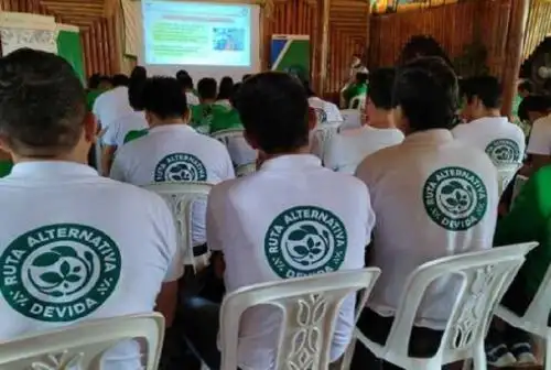 Con el objetivo de mejorar la asistencia técnica a más de 3,000 familias cacaoteras de los distritos de Constitución y Puerto Bermúdez, en la región Pasco, la Comisión Nacional Para el Desarrollo y Vida Sin Drogas (Devida) realizó talleres para unificar criterios y reforzar conocimientos en materia de cultivo de cacao, asociatividad y gestión comunal.