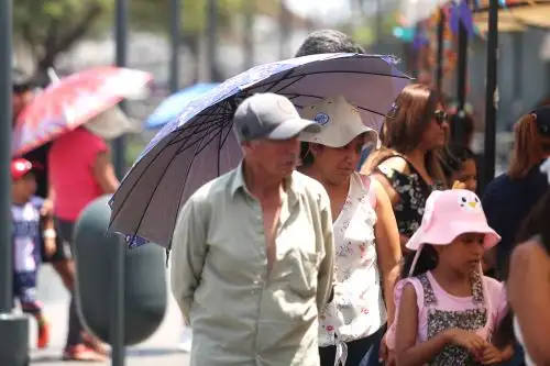 Las lluvias, en promedio, se presentarían bajo lo normal en la sierra y selva del país. ANDINA/Ricardo Cuba