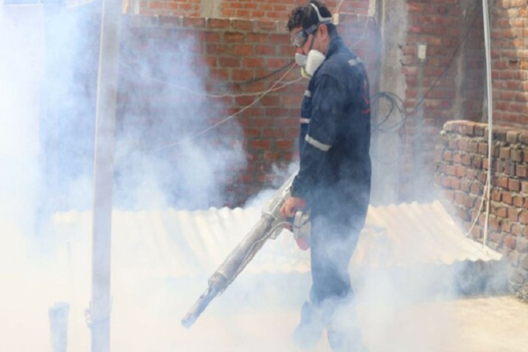 Se ejecutarán trabajos de fumigación en Piura para combatir la propagación del dengue. ANDINA/Difusión