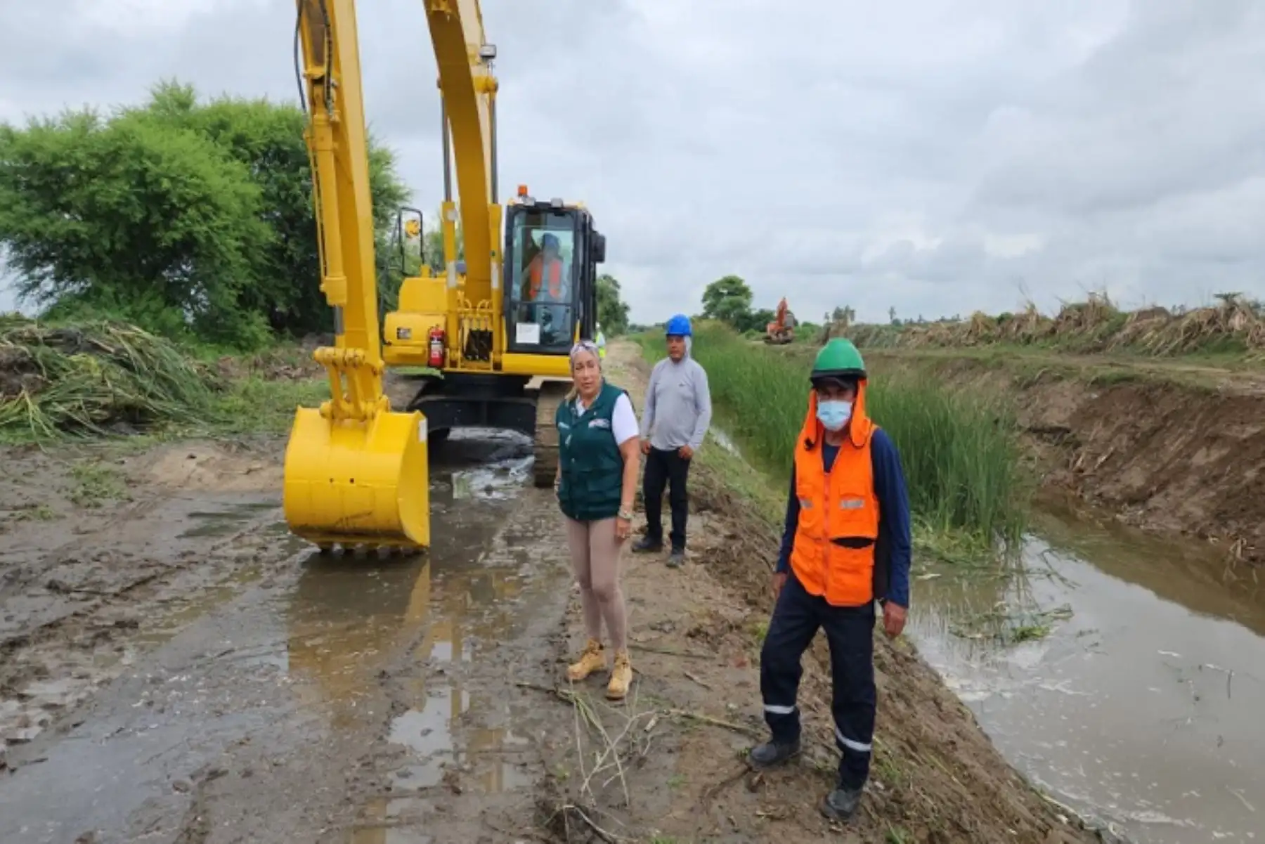 Las tres zonas específicas intervenidas son : quebrada Balcones, distrito de Chulucanas, Canal Pabur, en el distrito de La Matanza, en Morropón, y en el Dren, 13.08 - 34.75, en Nuevo Catacaos,