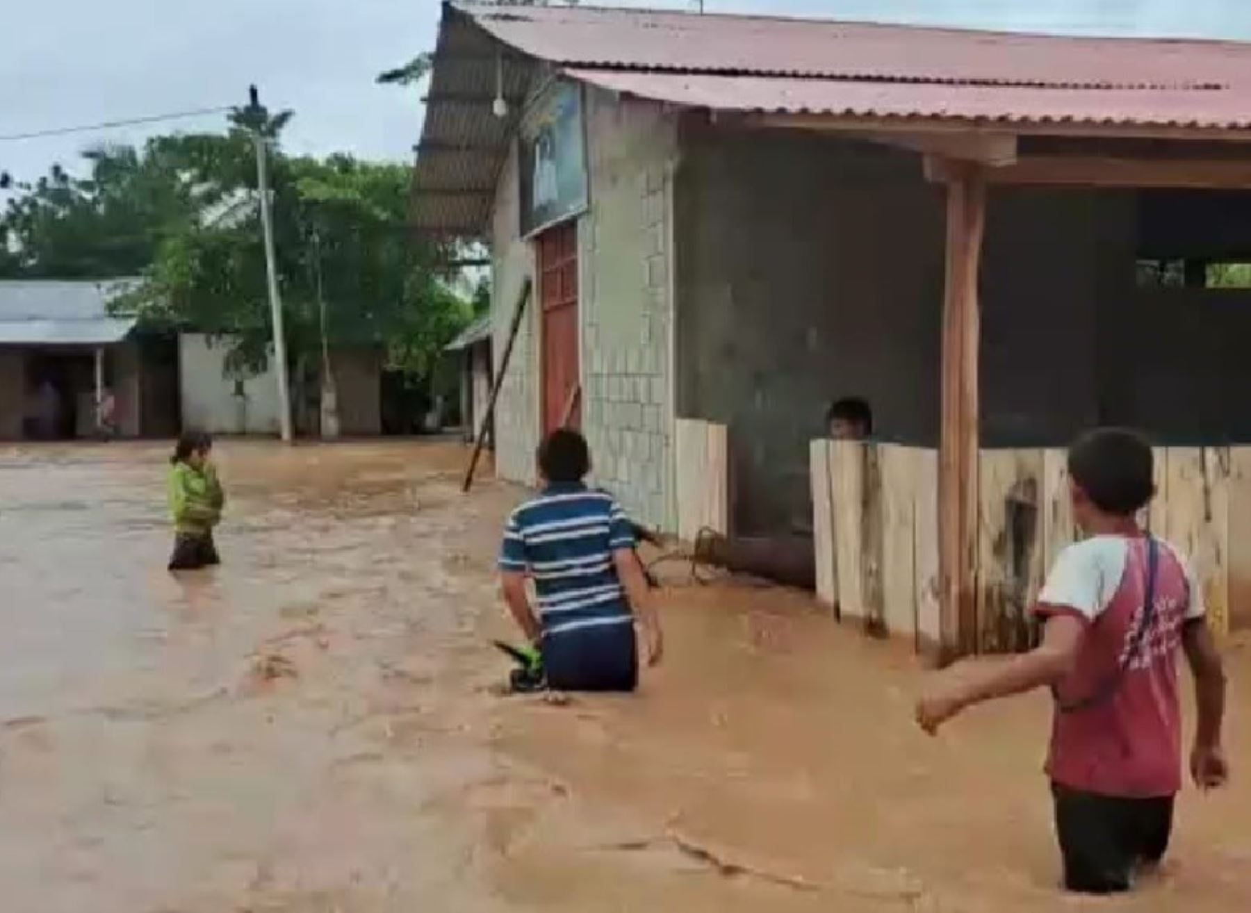 Cerca de 800 damnificados y alrededor de 5,000 afectados dejan las lluvias intensas e inundaciones que se registran en la región San Martín.