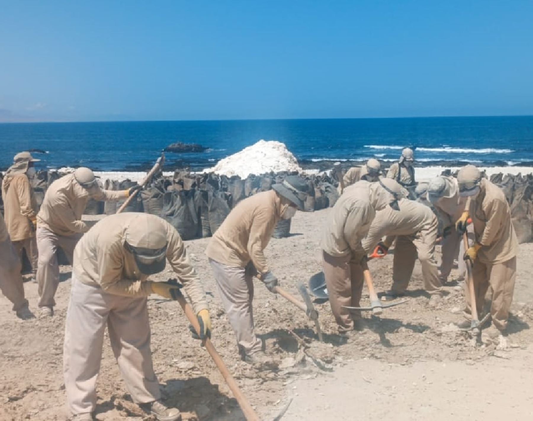 Trabajadores de Agro Rural recolectarán cerca de 7,000 toneladas de guano de las islas de Punta Coles, ubicado en la región Moquegua. ANDINA/Difusión